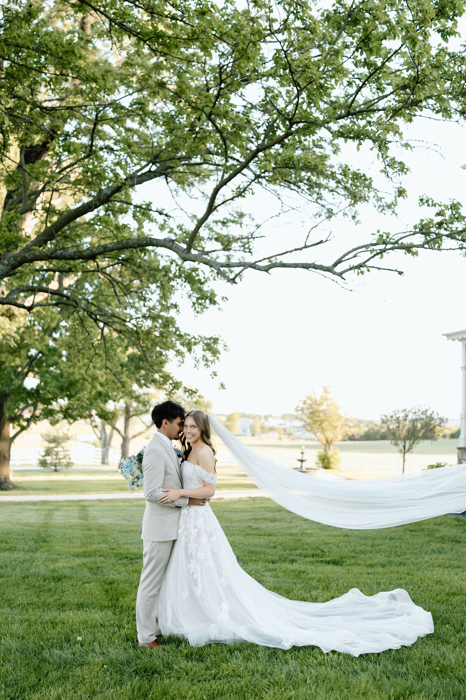 Bride and groom embrace under a large green tree, her white veil flowing in the wind on a lush lawn.