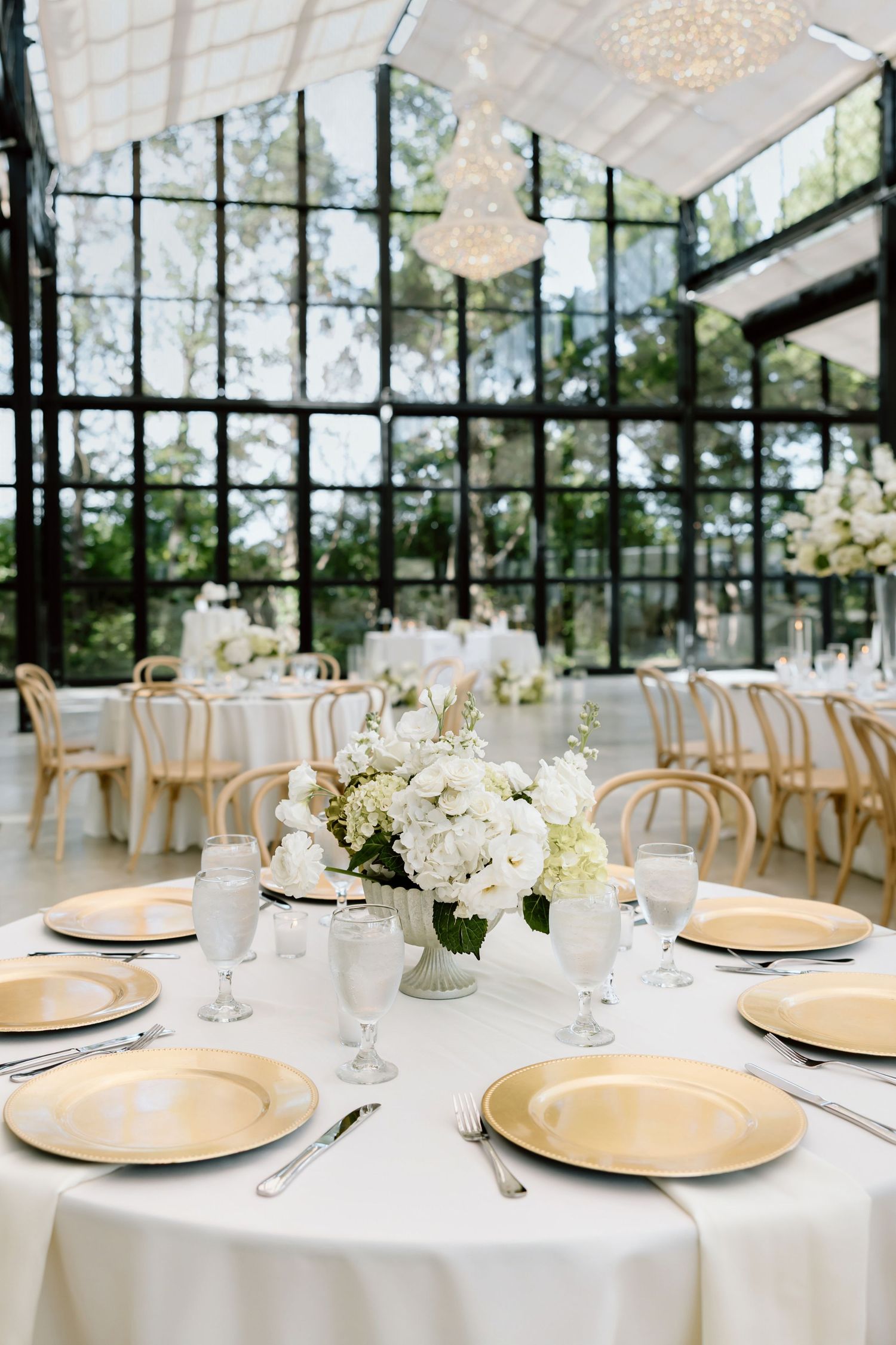 Elegant wedding reception with gold charger plates, white floral centerpieces, and glass greenhouse venue.