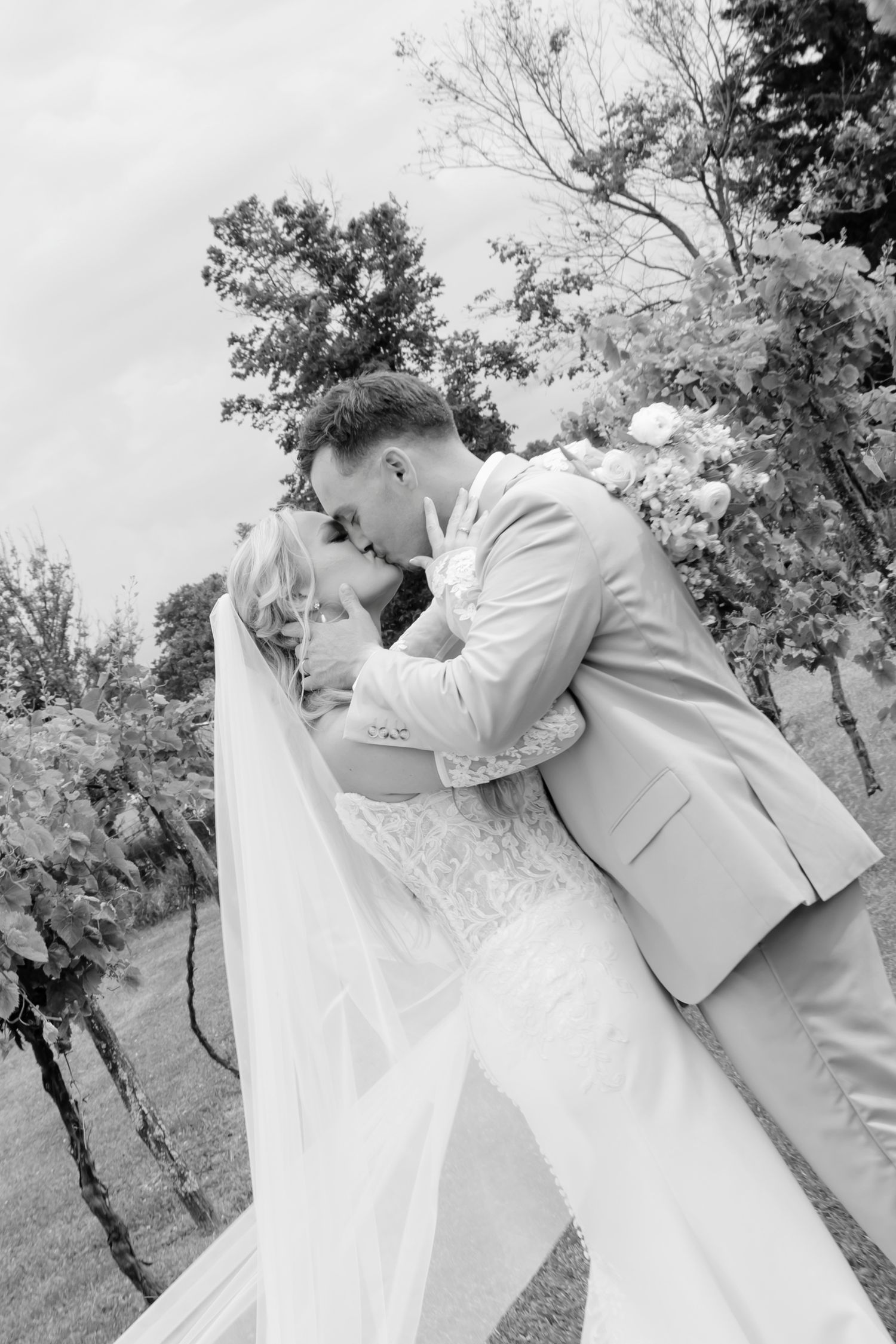 Black and white photo of a bride and groom sharing a romantic kiss, with her veil flowing, surrounded by lush vineyard trees.