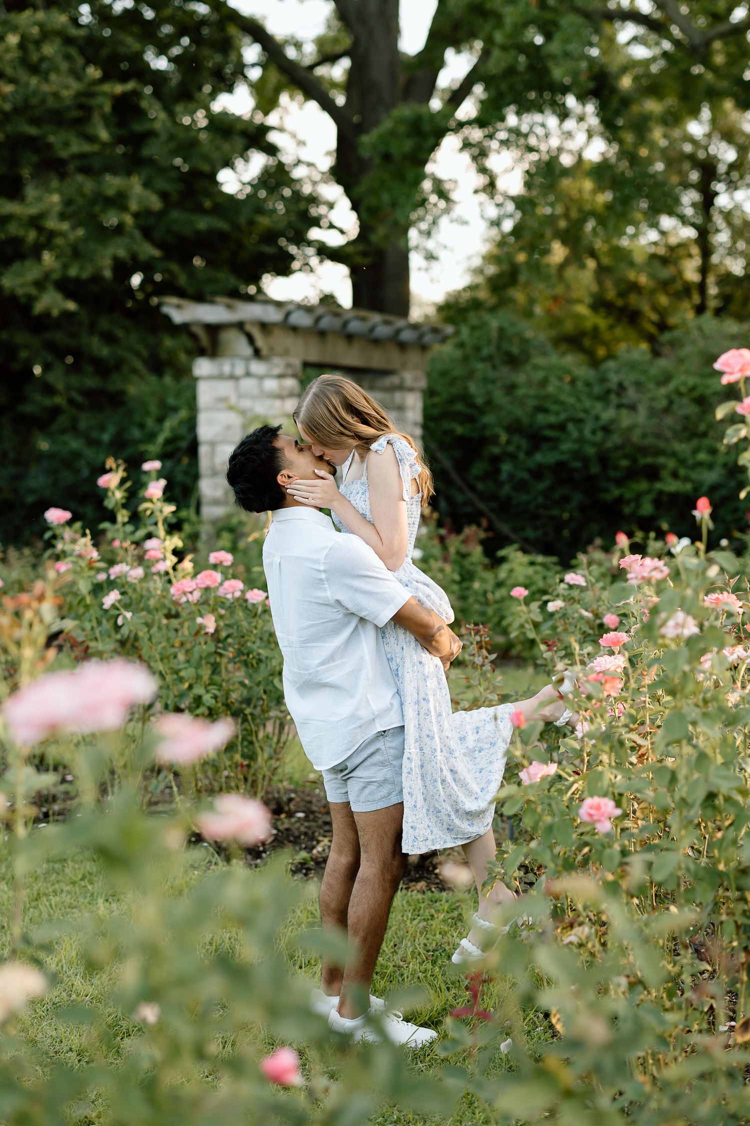 A romantic moment captured in a garden filled with blooming pink roses and lush greenery on a summer evening.