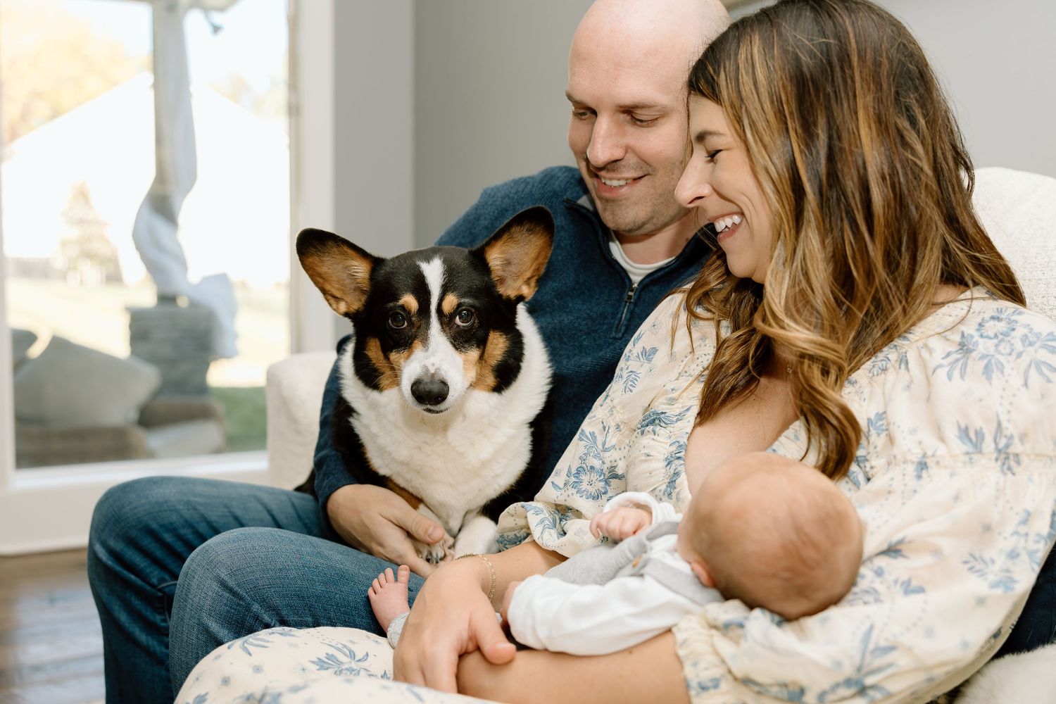 A series of lifestyle photos showing tender moments between a dog and family members on a couch.