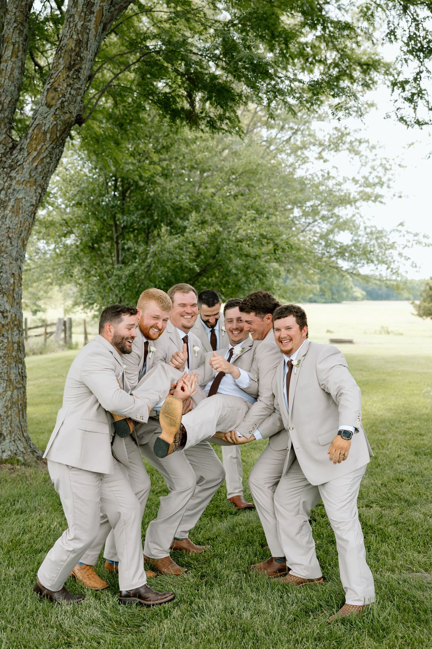 Groomsmen in light gray suits laughing and lifting the groom outdoors on a sunny day near a large tree.