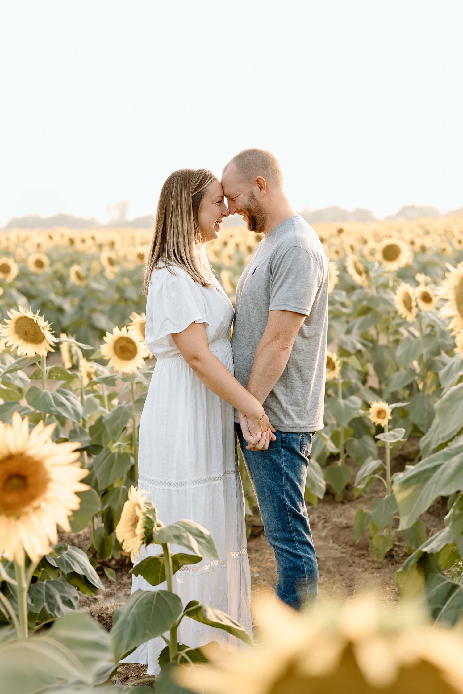 A romantic couple shares tender moments in a golden sunflower field during sunset.