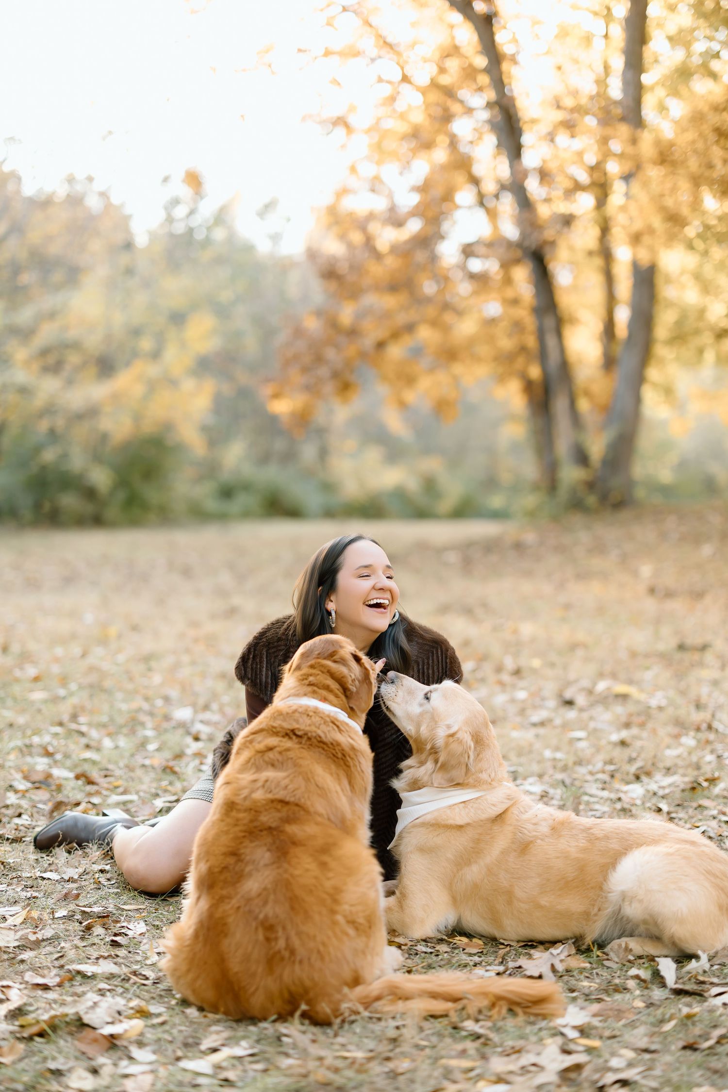 A joyful moment shared between two golden retrievers and their companion on autumn leaves in a park.