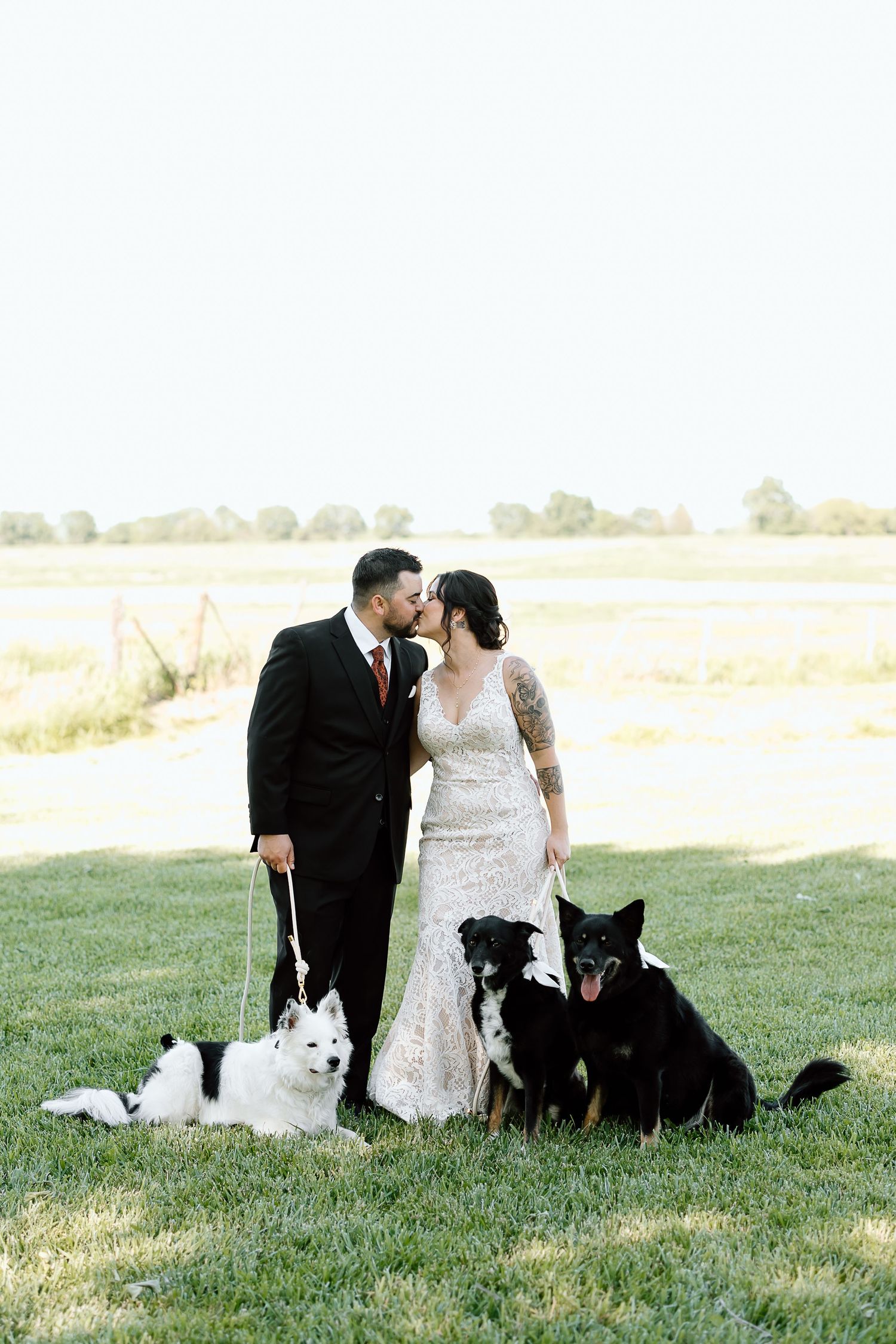 A couple in wedding attire sits on grass with their black and white dogs during an outdoor photo session.