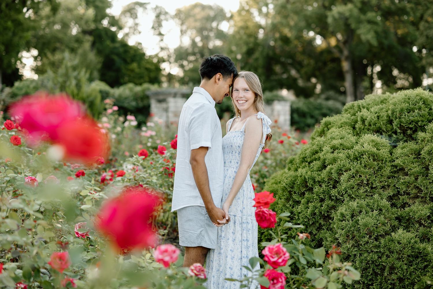 A couple shares a tender moment among blooming pink roses in a lush garden setting during golden hour.