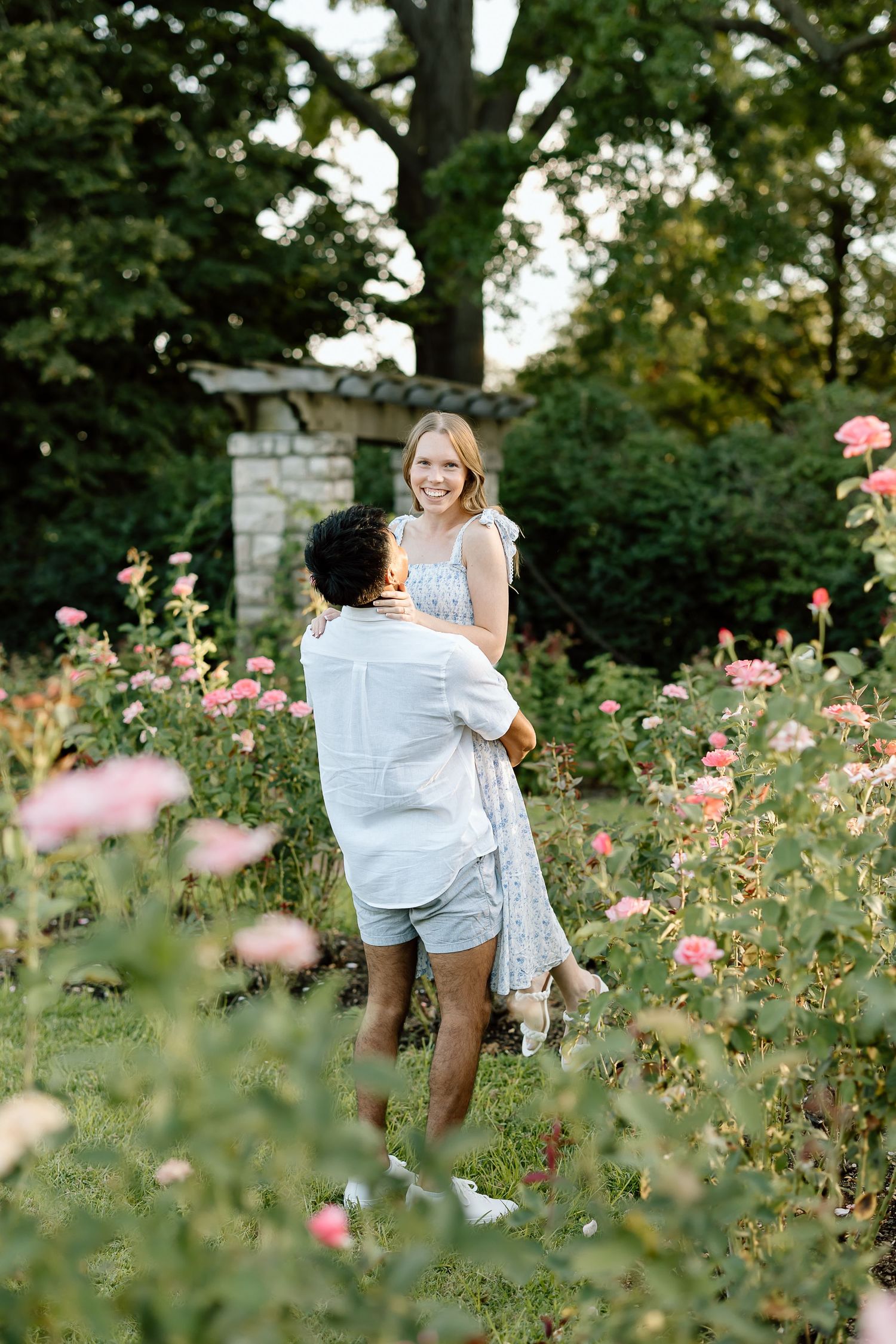 A romantic proposal moment unfolds in a garden filled with blooming pink roses on a sunny summer day.