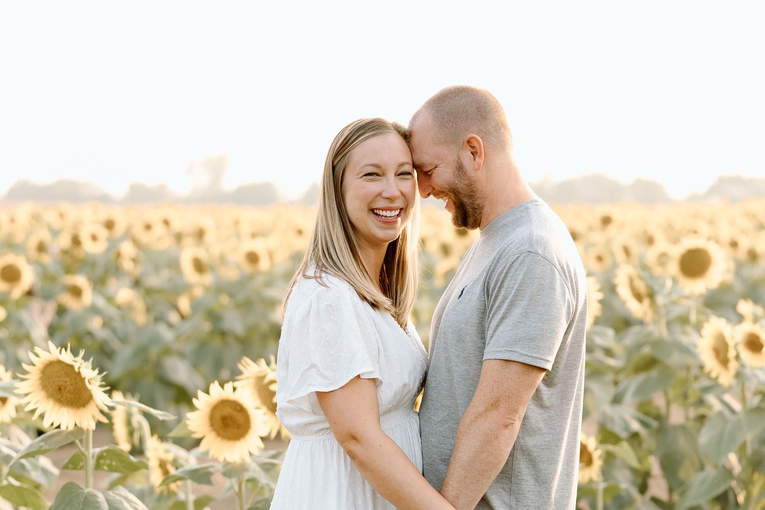 A couple shares an intimate moment in a golden sunflower field at sunset.