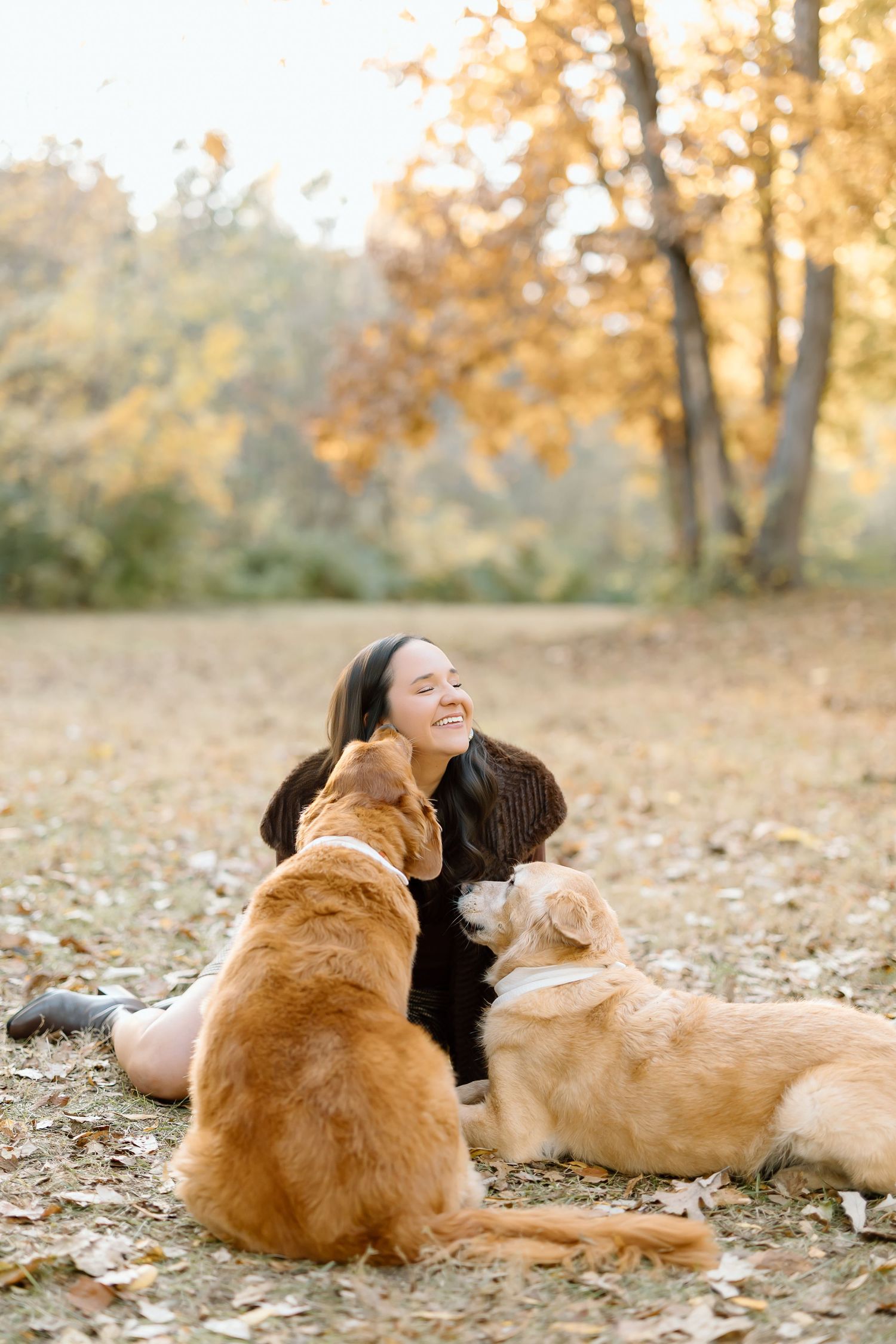 Two golden retriever dogs and their owner lay together in autumn leaves during a playful outdoor photo session.