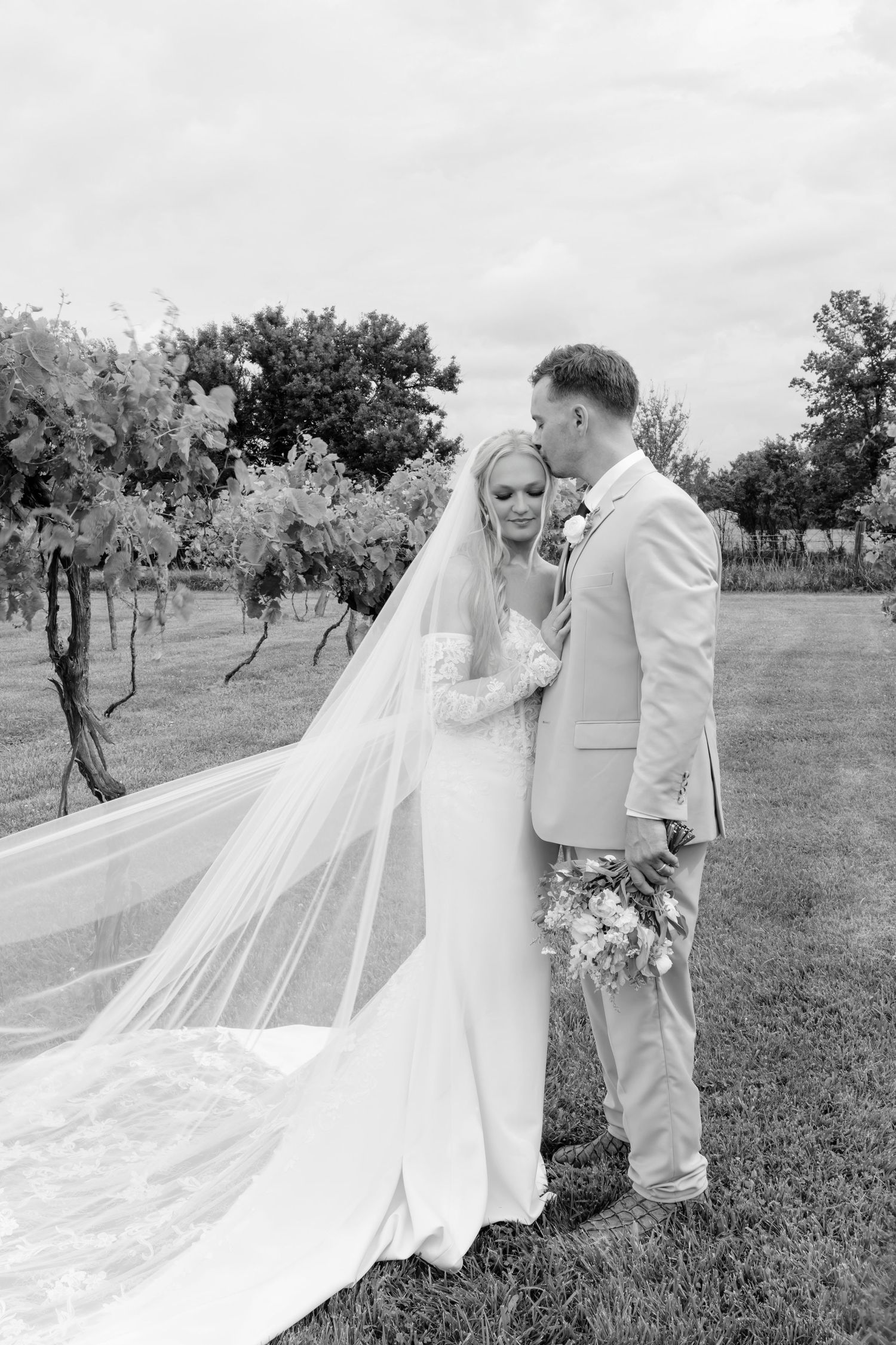 Black and white photo of bride and groom sharing a tender moment in a vineyard, her long veil flowing behind her.