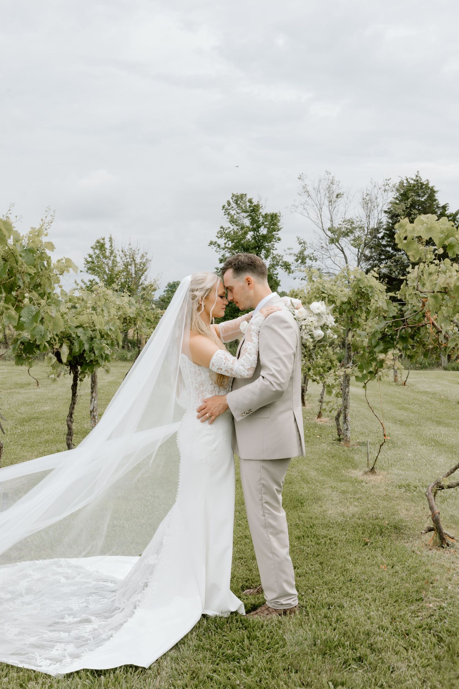 Bride and groom share romantic moment in vineyard, her cathedral veil flowing gracefully on lush green grass.