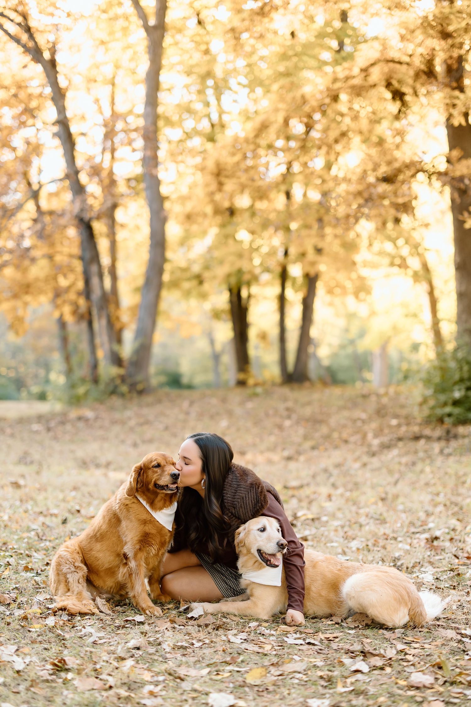 Golden retriever and companion lying together on autumn leaves in a sunlit forest.