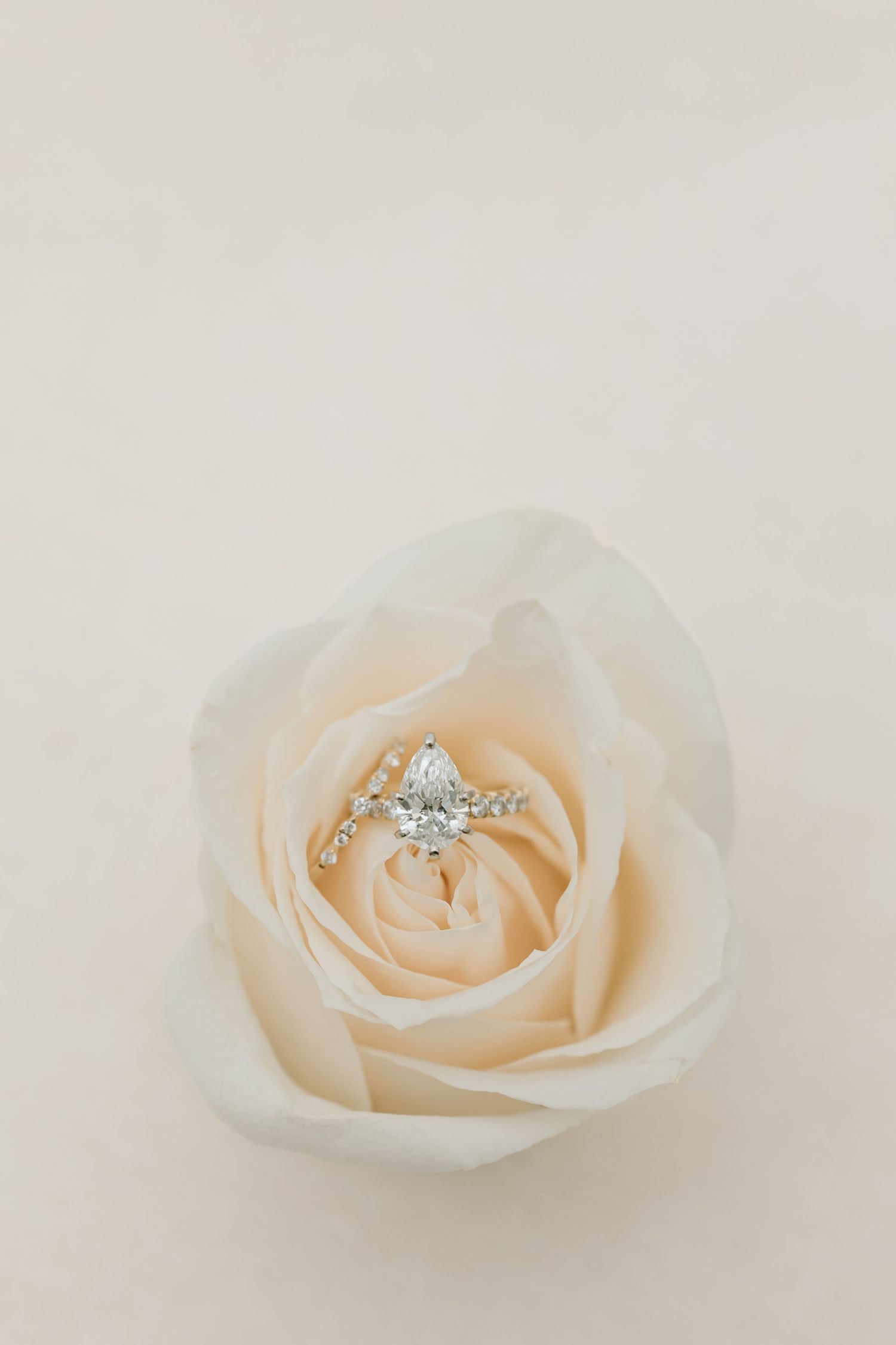 Delicate engagement ring nestled in the center of a soft peach-colored rose against white background.