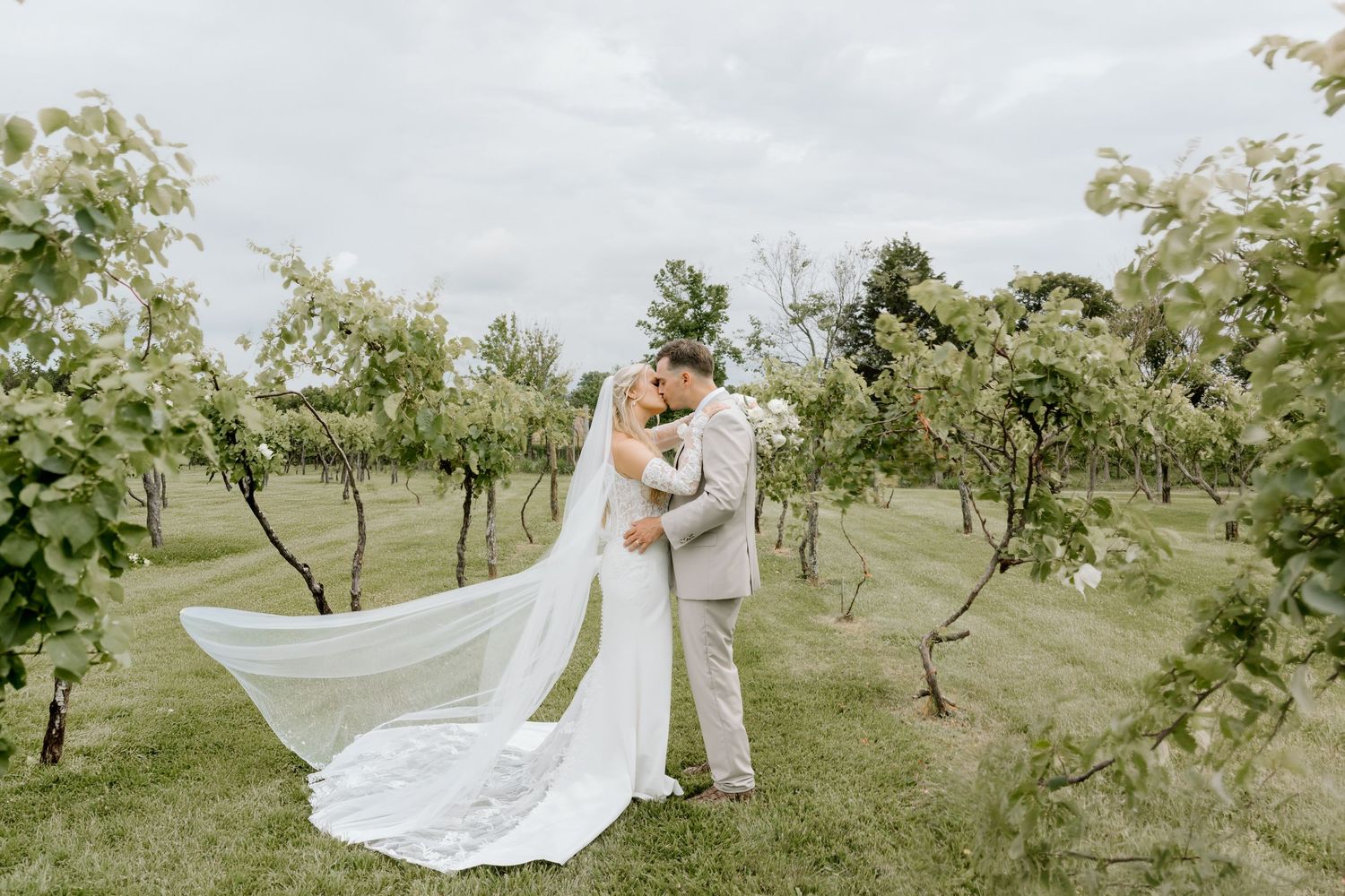 Bride and groom kissing in a lush vineyard, wedding veil flowing in the wind, romantic outdoor ceremony.