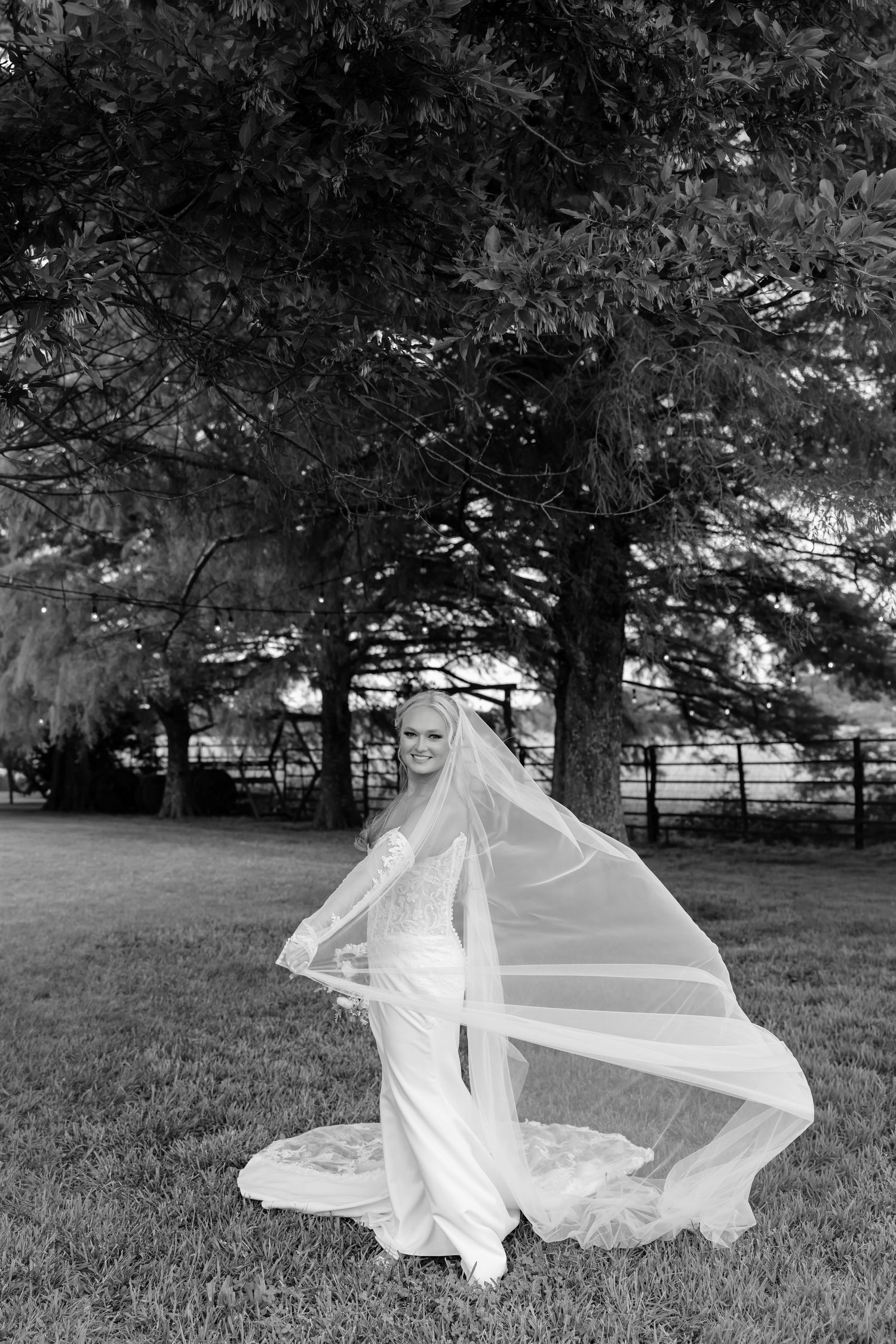 Black and white photo of a bride in a flowing wedding gown with veil billowing in the wind under a large tree.