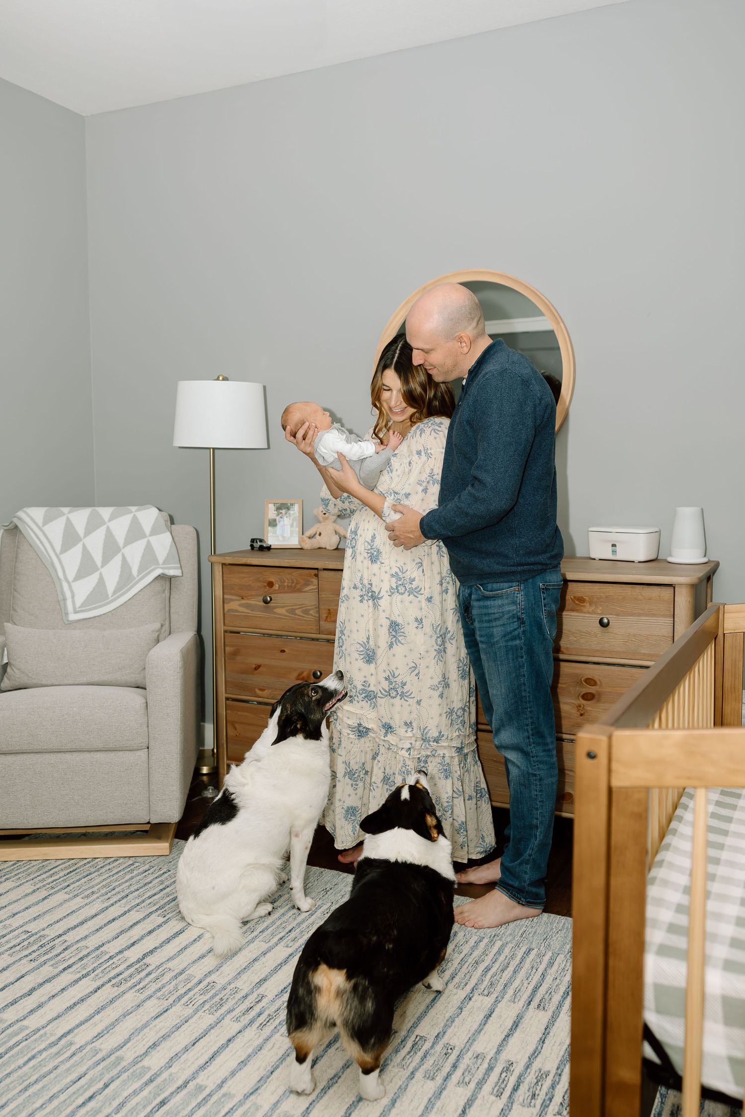 A sequence of images showing two dogs interacting with someone in a cozy bedroom setting with gray walls and wooden furniture.