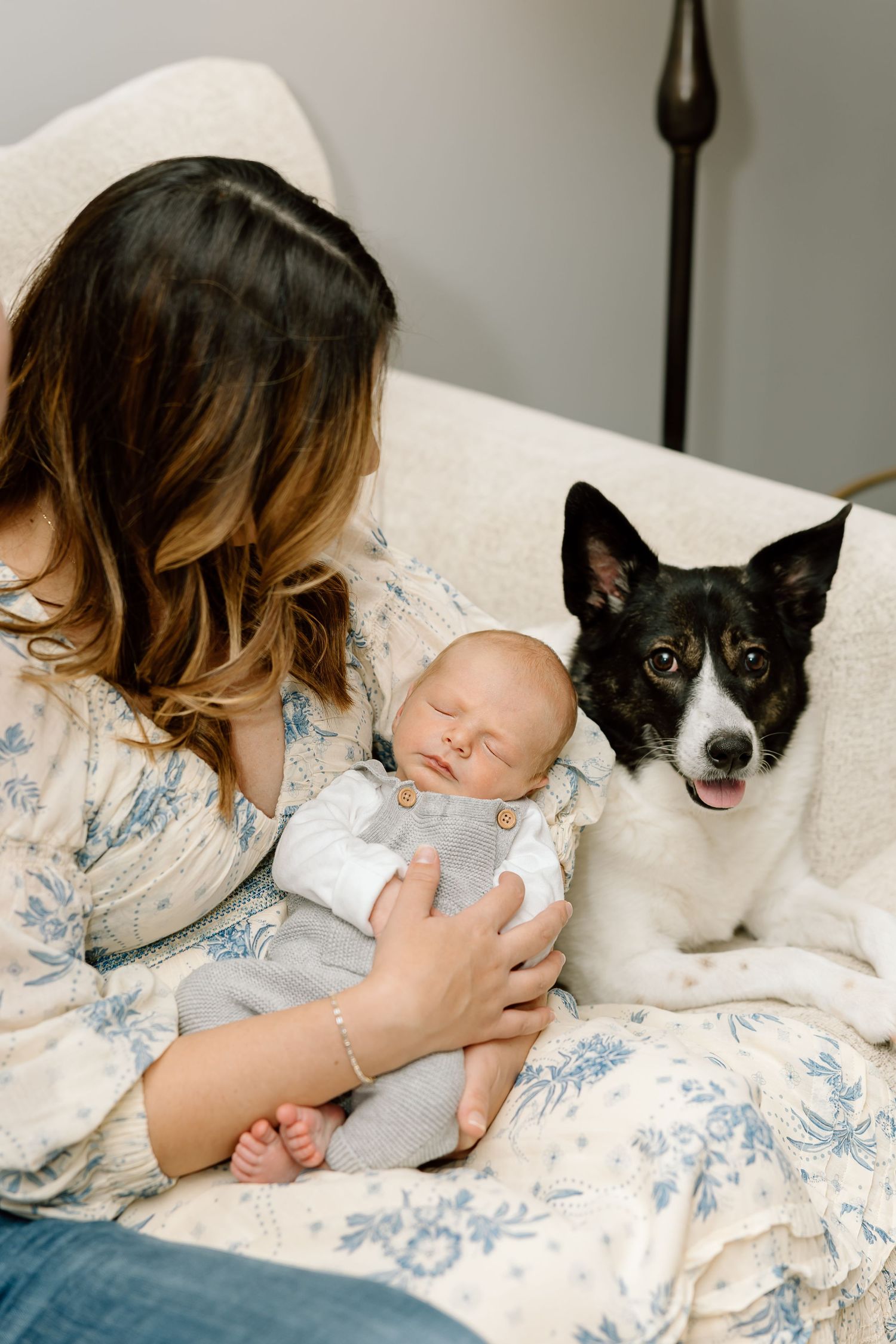 A series of four photos showing a person in a floral dress holding a baby while a black and white dog watches nearby.