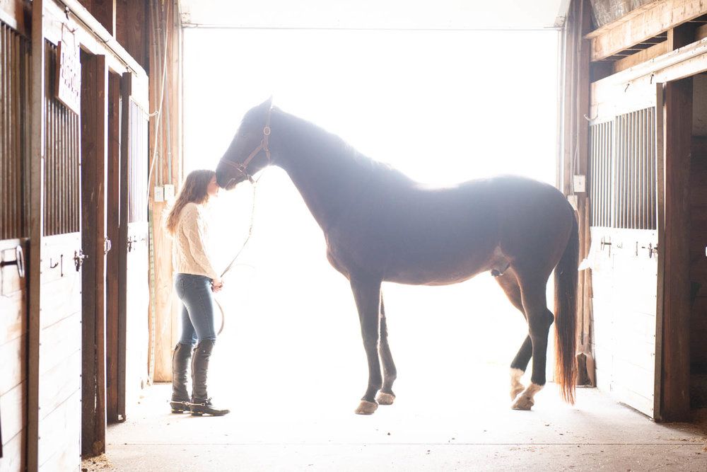 Central MN Senior Photography - Woman standing with a dark horse in a sunlit stable barn aisle, holding the lead rope gently.