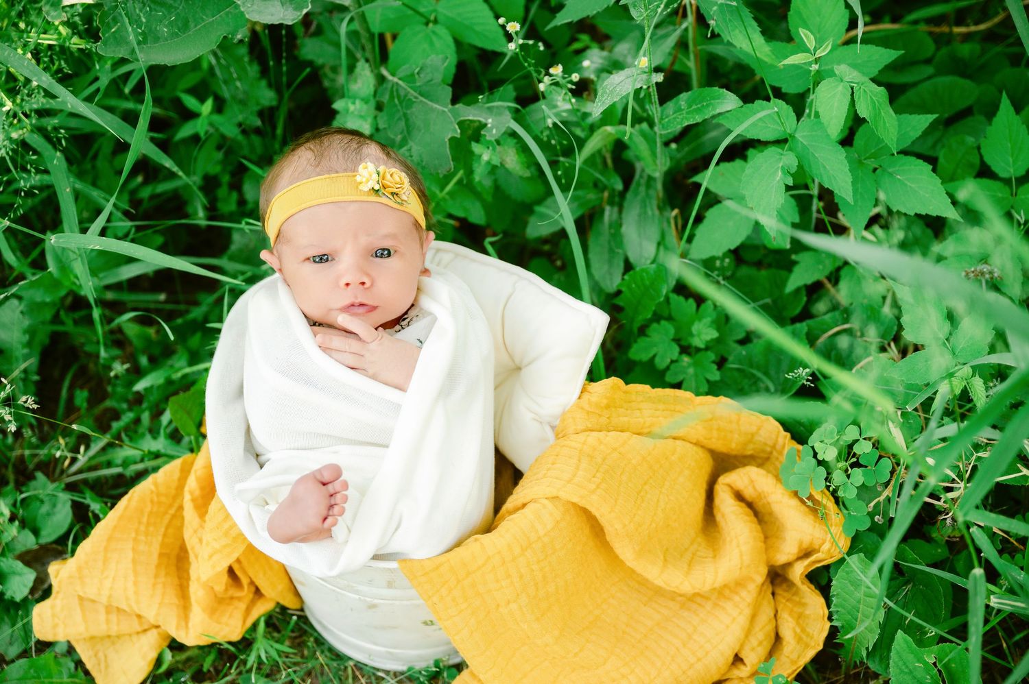 St Cloud newborn Photos of Newborn baby wrapped in white swaddle with yellow blanket, wearing gold headband, nestled in greenery outdoors.