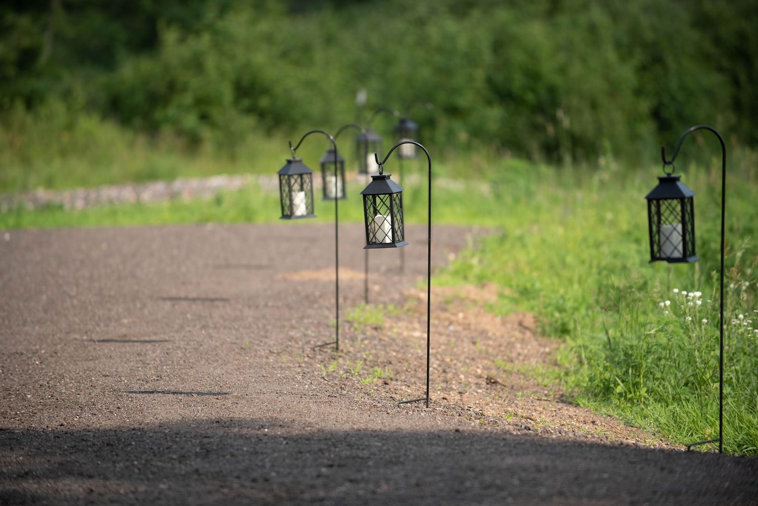 Decorative lanterns line a dirt path through green grass and foliage. Zimmerman MN Weddings