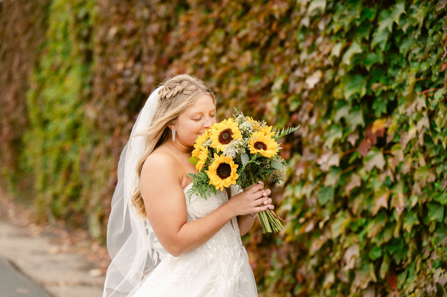 Central MN Wedding Photos | Bride in white gown smelling sunflower bouquet against autumn ivy-covered wall.