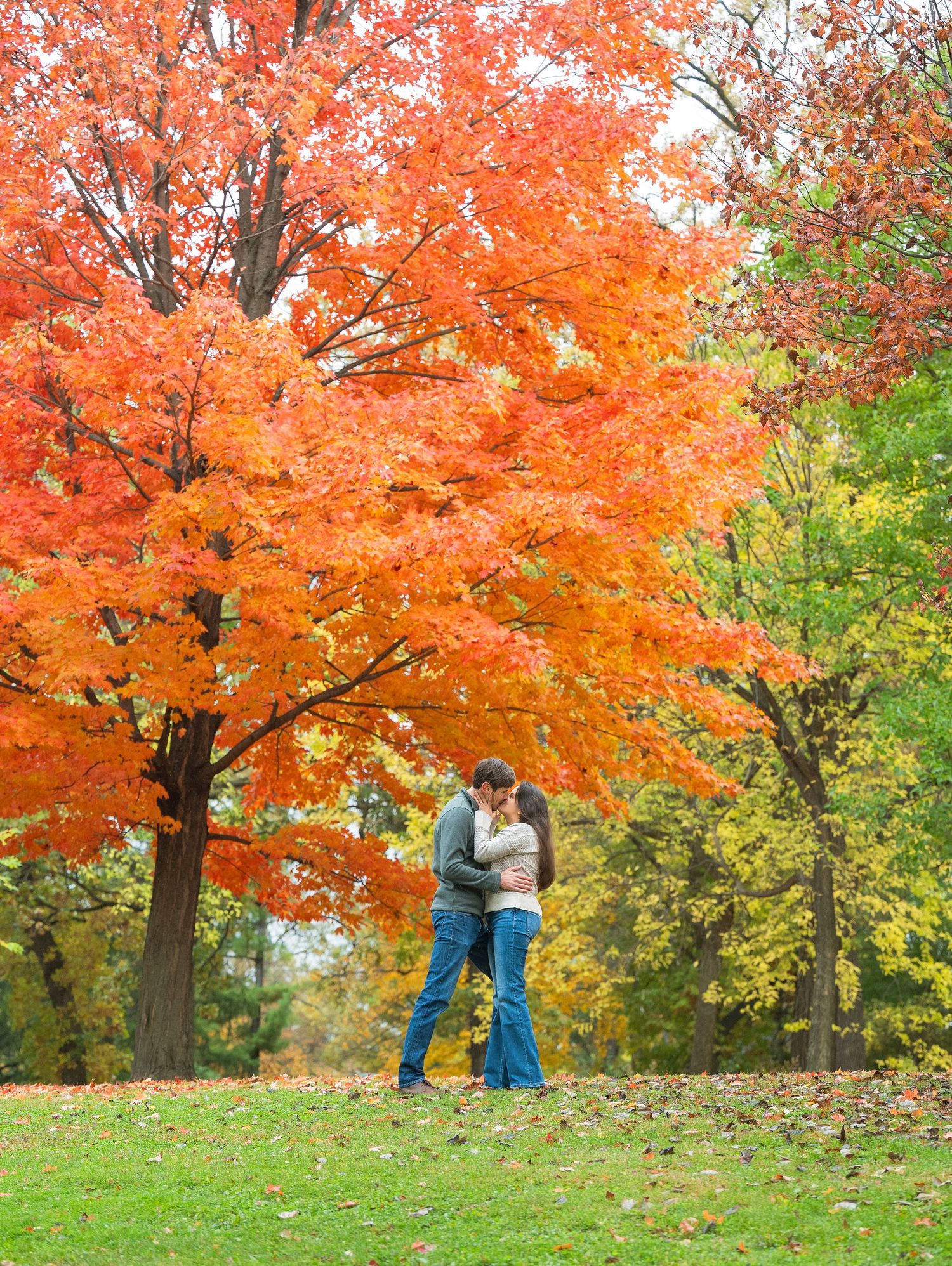 In central Minnesota a couple embraces beneath vibrant orange autumn maple trees in a peaceful park setting.