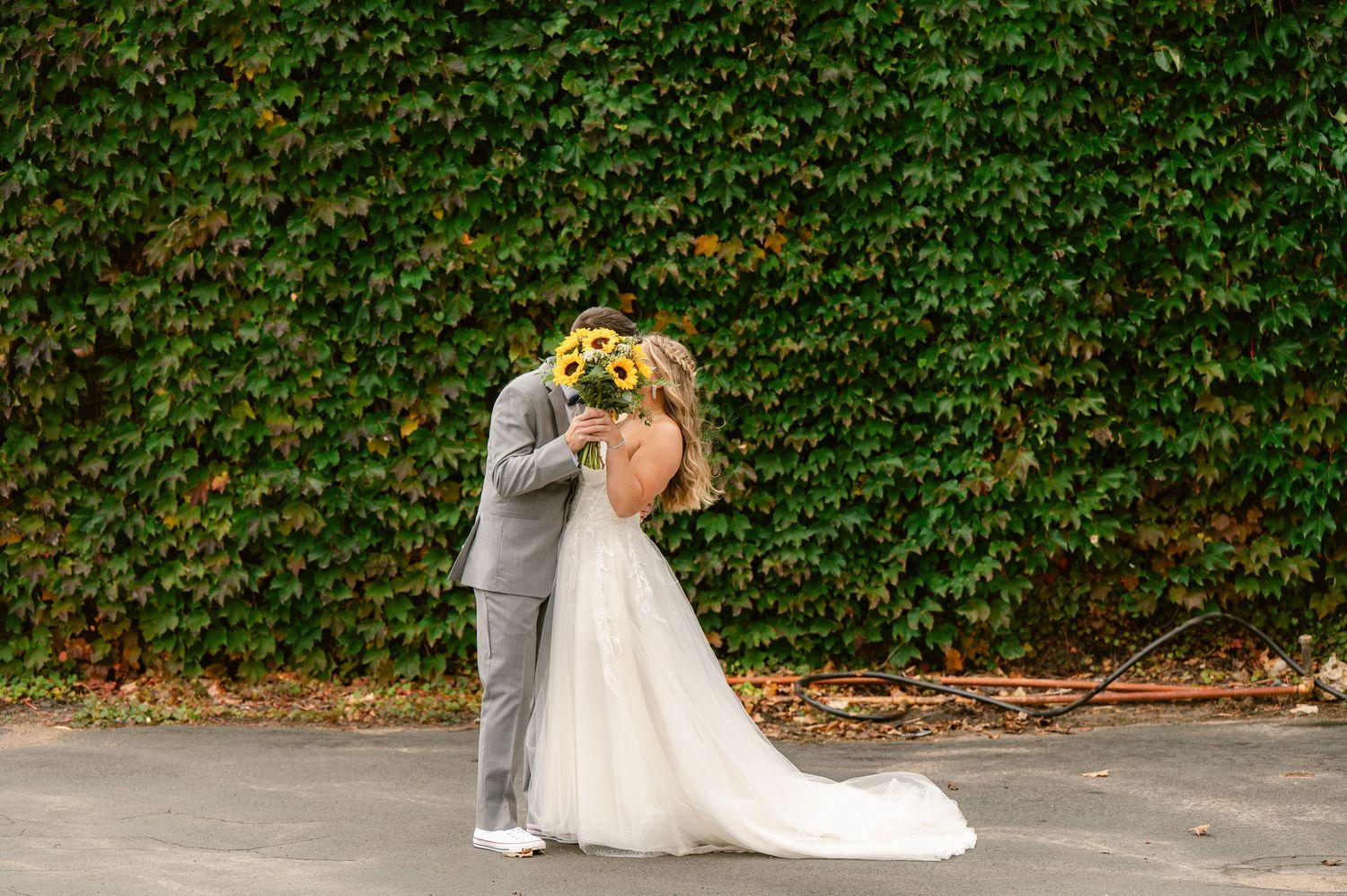 Central MN Wedding Photos | Newlyweds share a romantic kiss in front of a lush green ivy wall, bride holding vibrant sunflower bouquet.