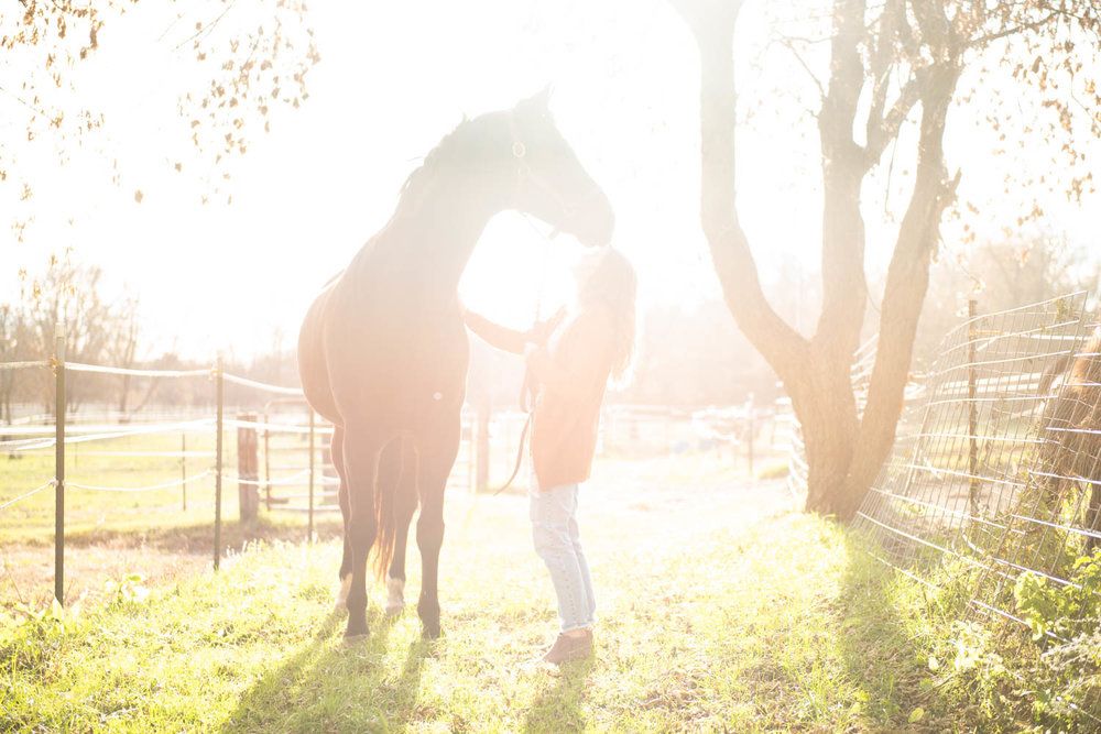 Central MN Senior Photography - Person standing with a brown horse in a sunlit pasture near trees and a fence on a bright day.