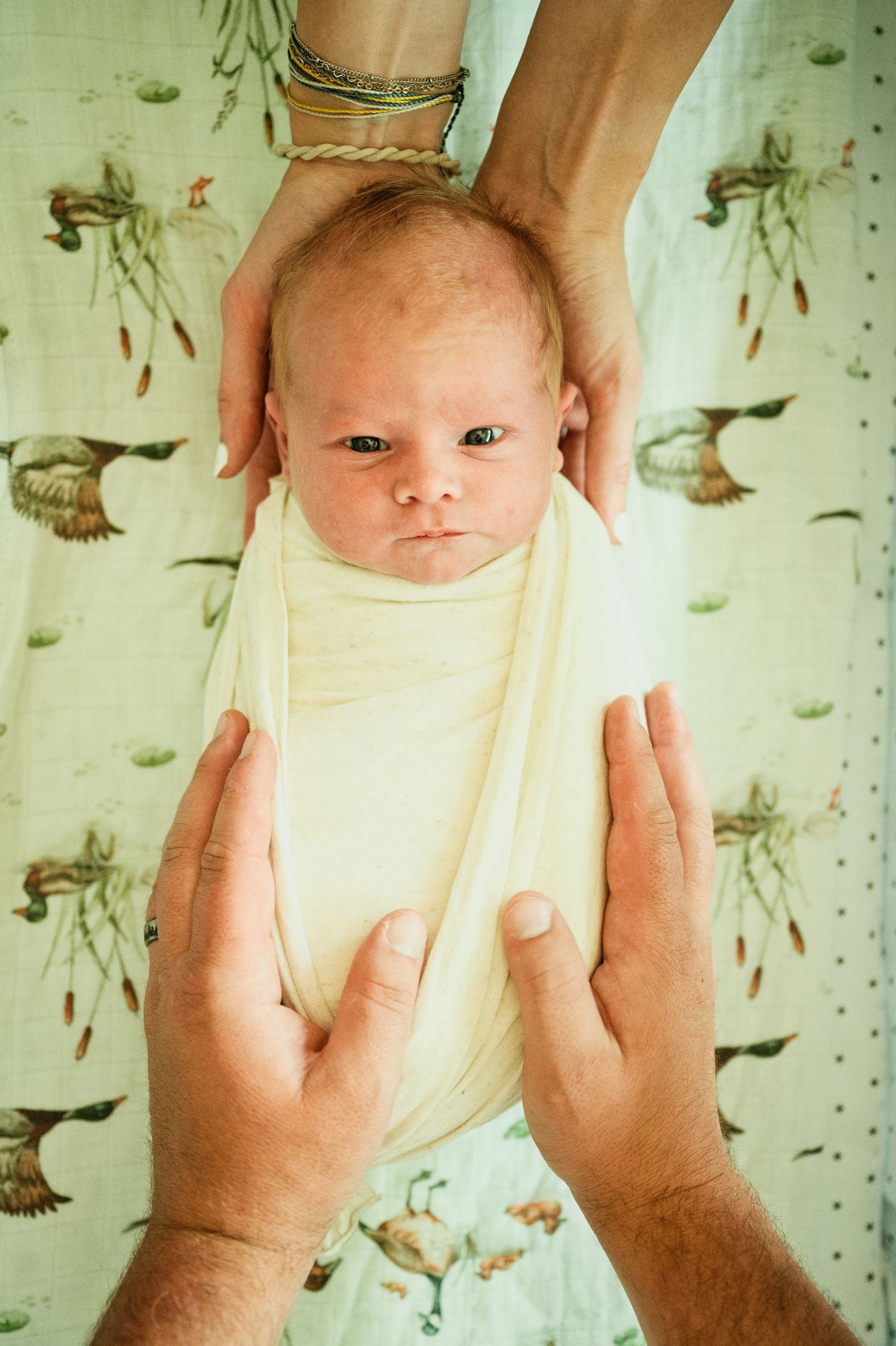Newborn baby swaddled in white cloth, held gently by two pairs of adult hands on a bird-patterned blanket.
