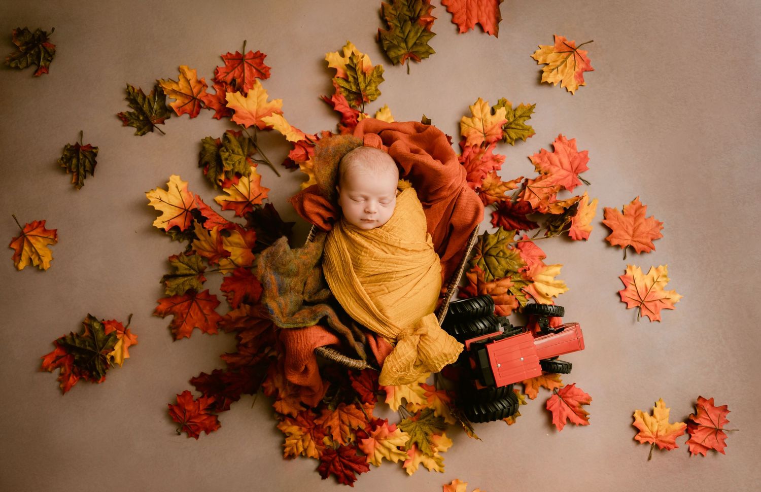 St Cloud newborn Photos of Newborn wrapped in yellow swaddle surrounded by fall leaves.