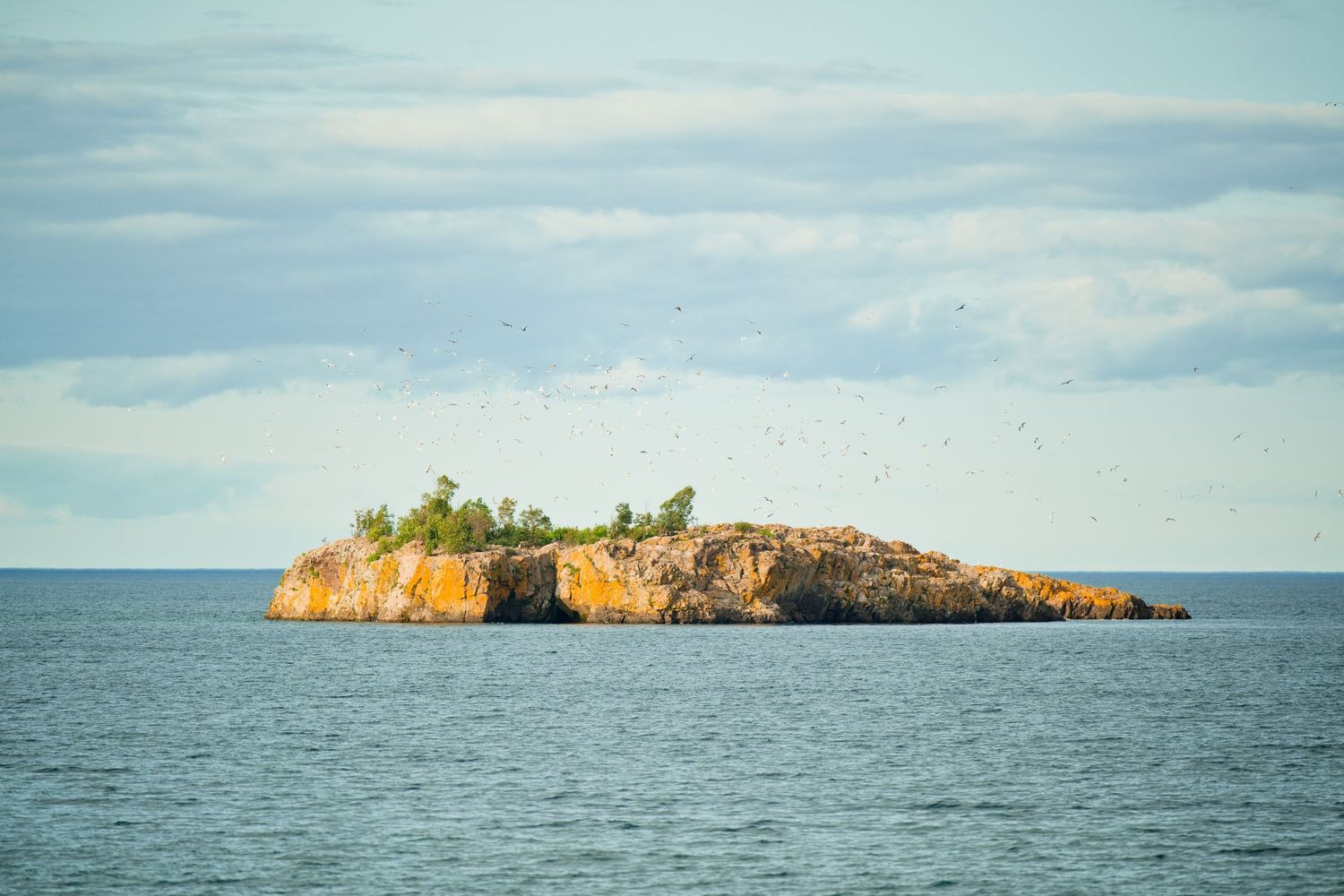 Small rocky island with orange cliffs, green trees, and birds flying overhead surrounded by calm blue ocean waters.