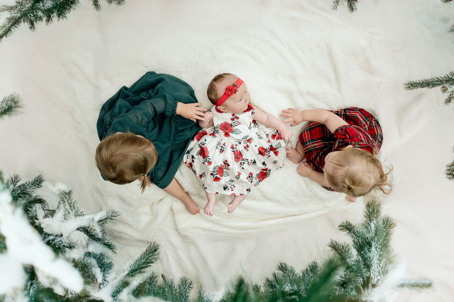 Three young children lying together on a white blanket surrounded by evergreen branches.