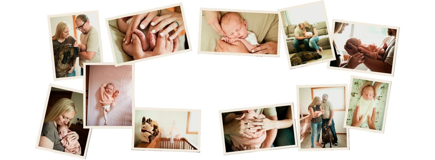 Collage of tender newborn and family photography featuring babies, parents, and soft natural light portraits.
