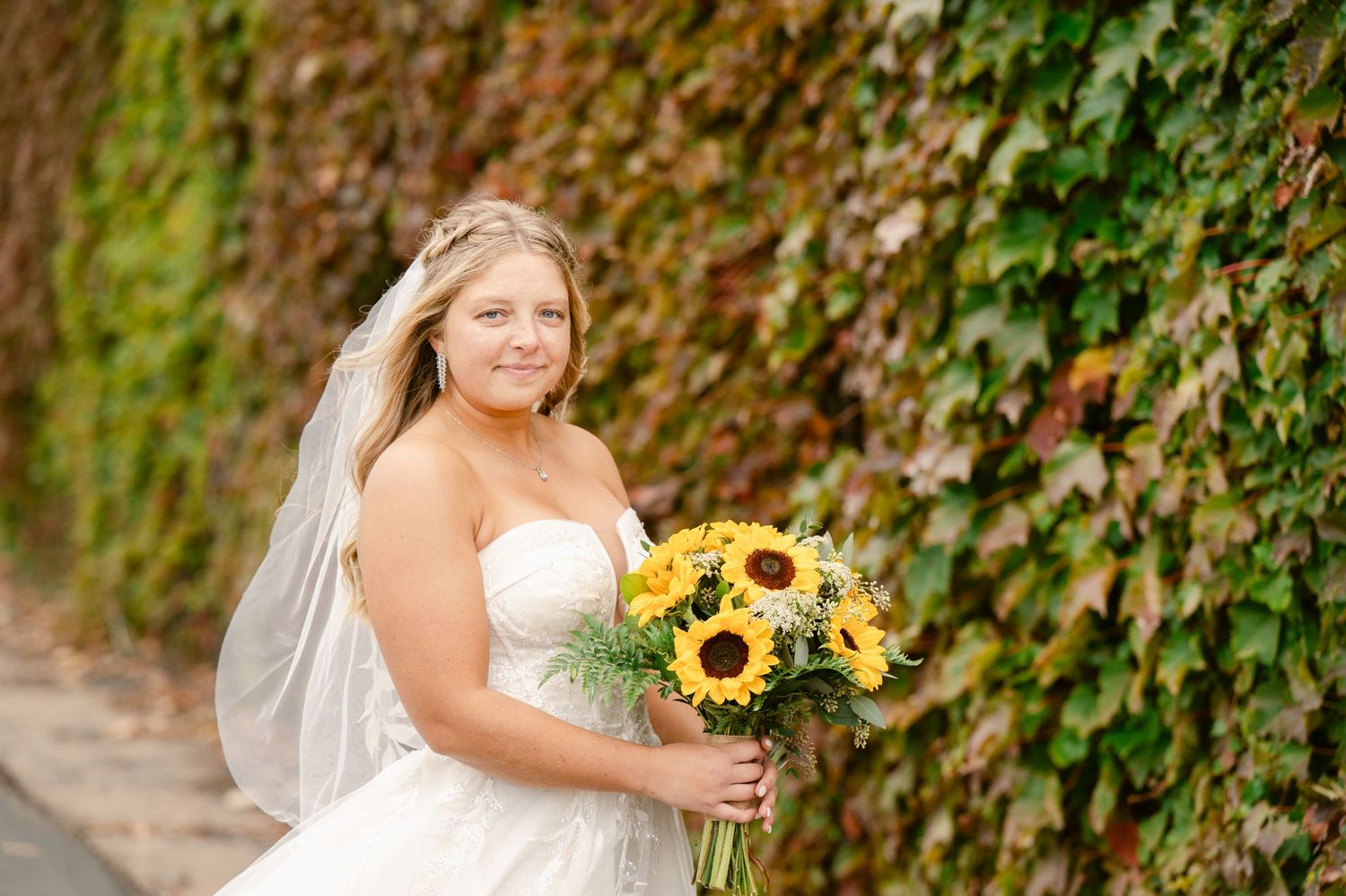 Central MN Wedding Photos | Bride in strapless gown holding sunflower bouquet in front of ivy wall.