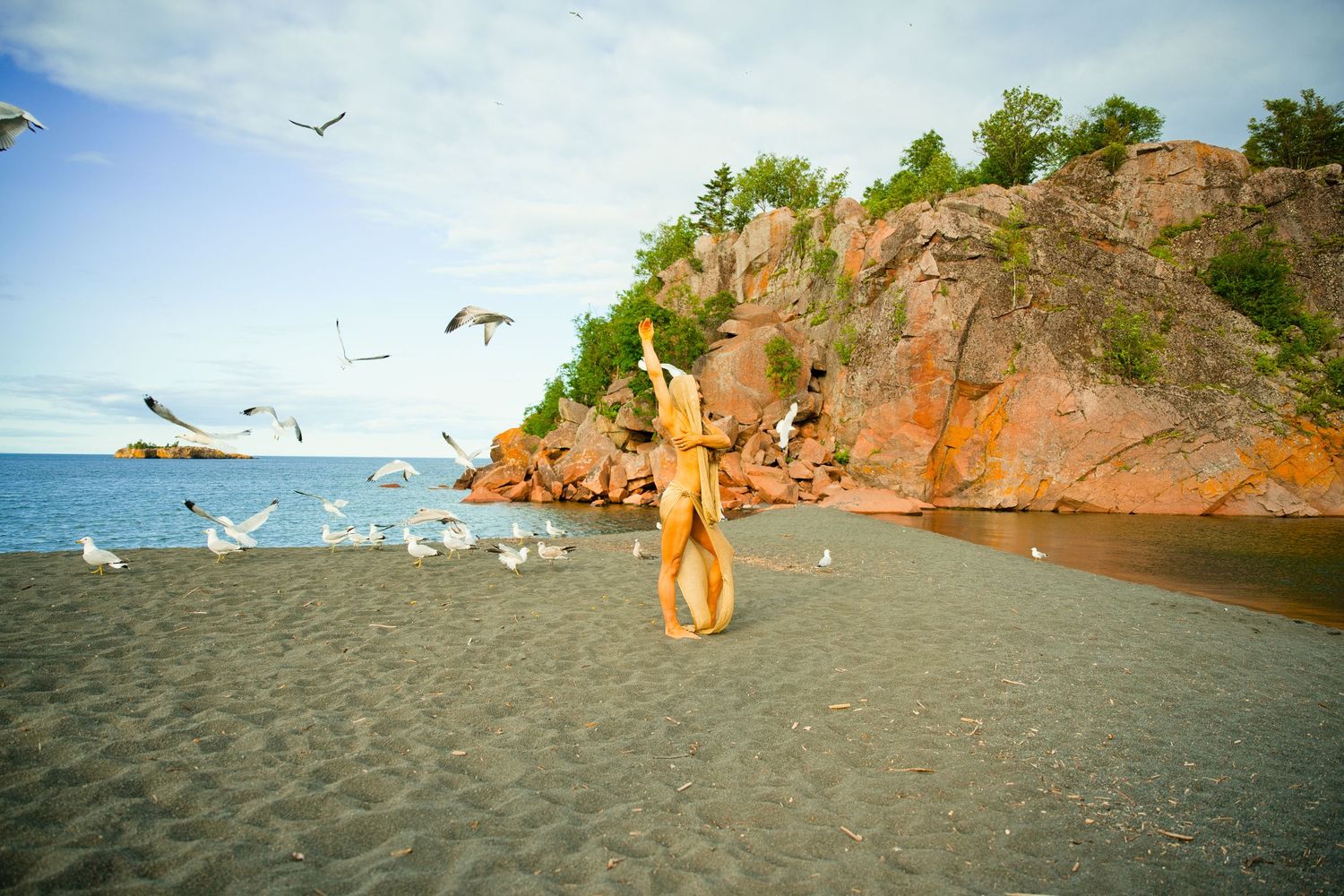 A golden dog leaps on a sandy beach surrounded by seagulls, with red rocky cliffs and blue ocean in the background.