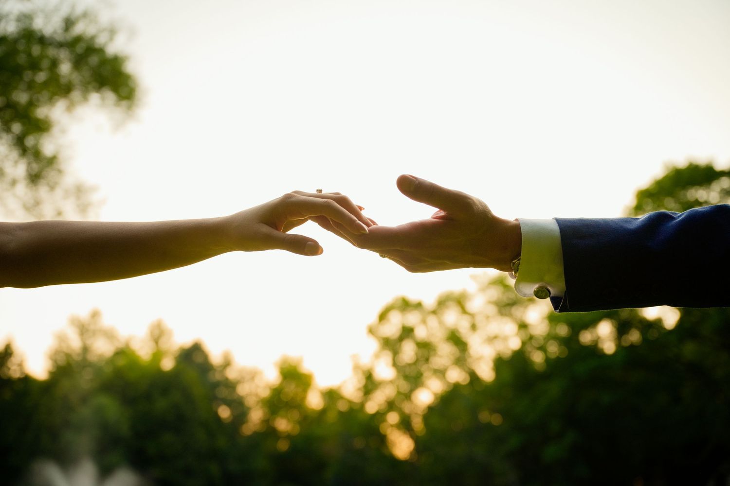 Two hands reaching toward each other against a sunset sky with green trees, symbolizing connection and romance.