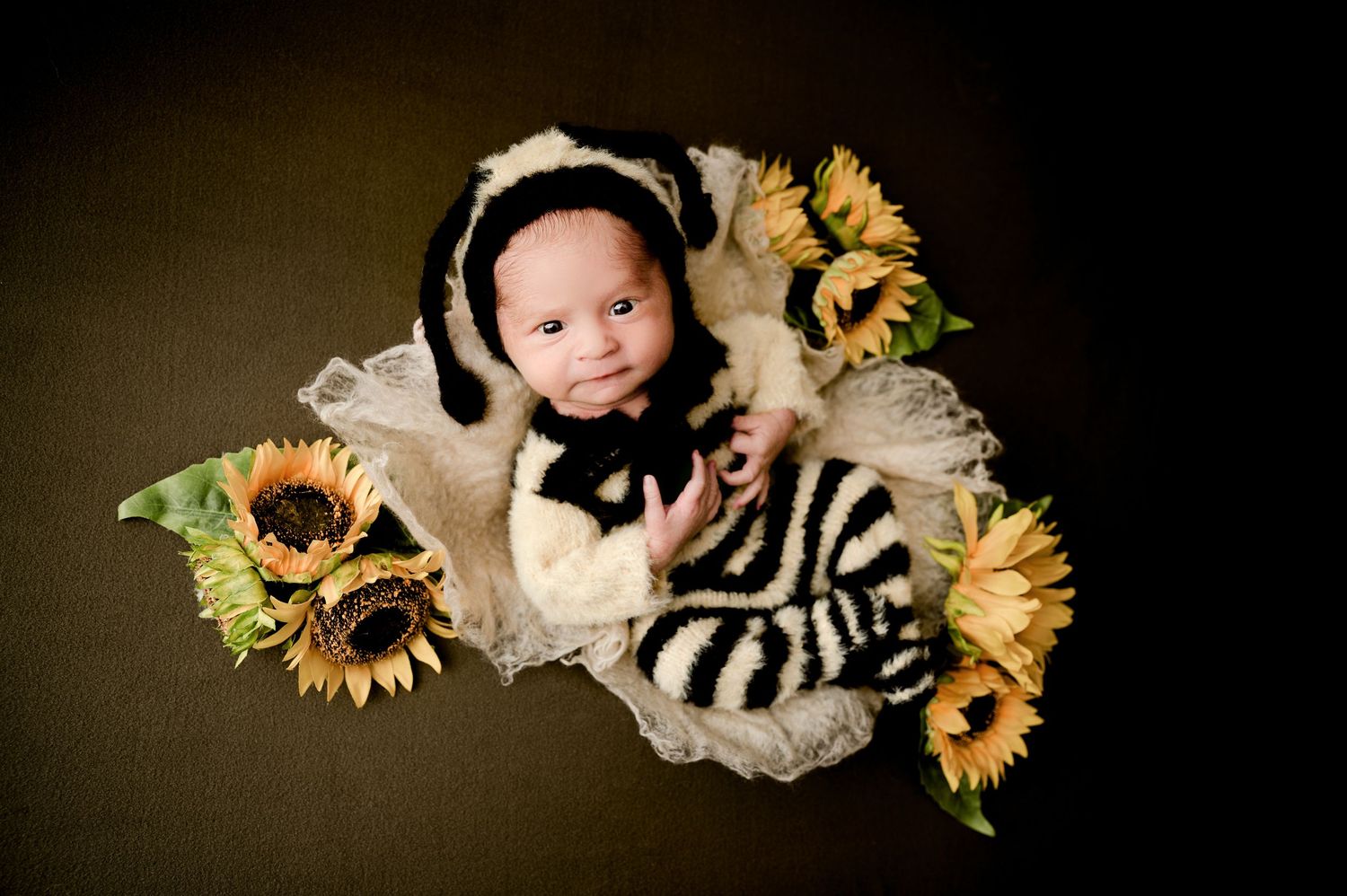 St Cloud newborn Photos of Smiling baby in zebra costume with sunflowers in basket.