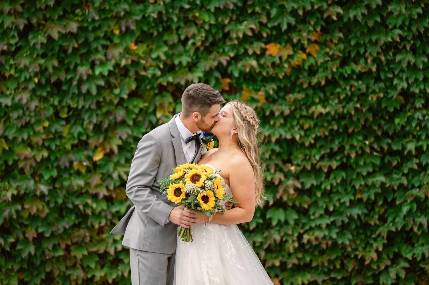 Central MN Wedding Photos | Bride and groom kissing holding sunflower bouquet against lush green ivy wall.