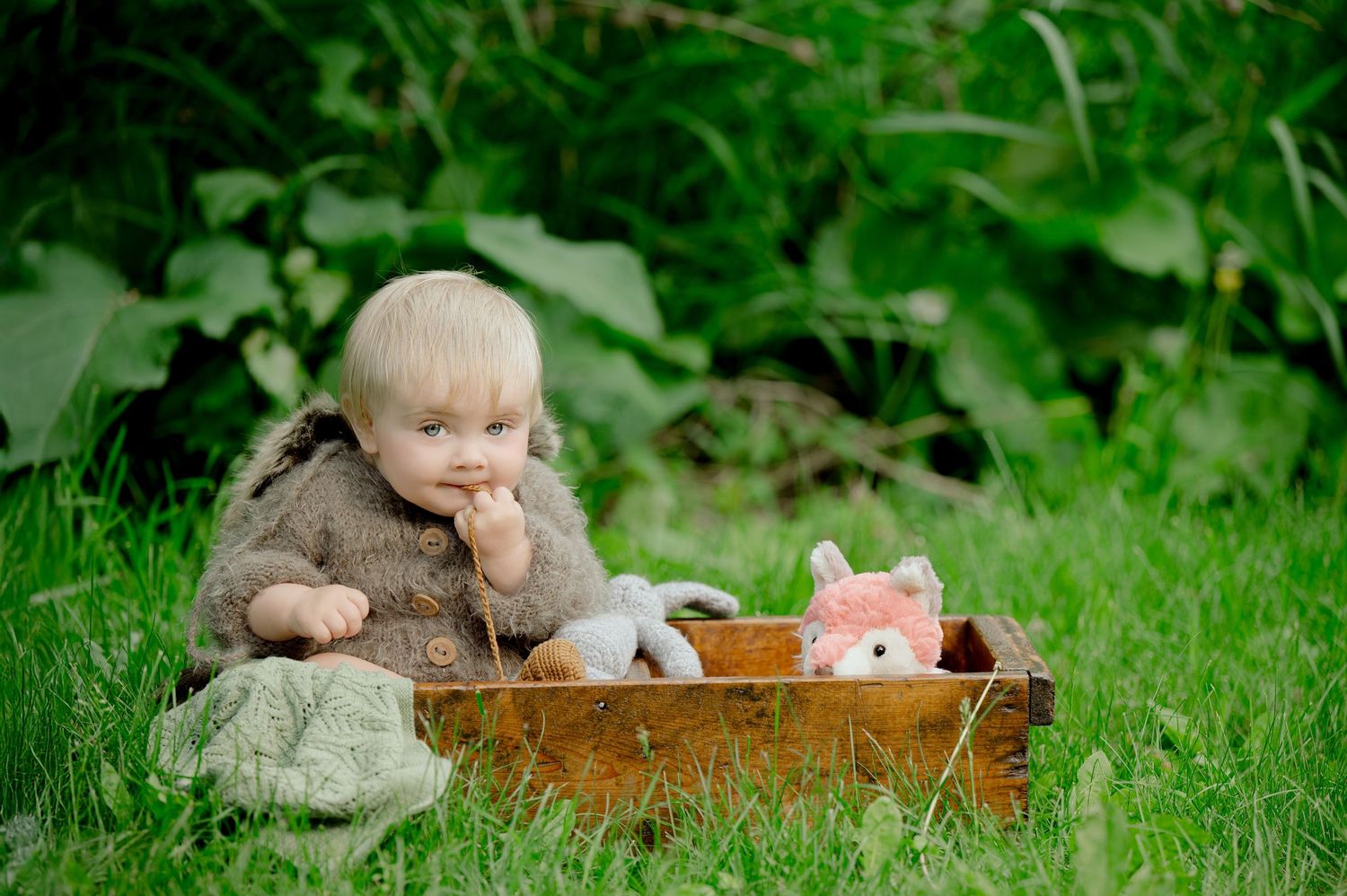 Small child sitting in grass outdoors next to a wooden box containing stuffed toys and plush animals. Princeton MN Milestone, Maternity and