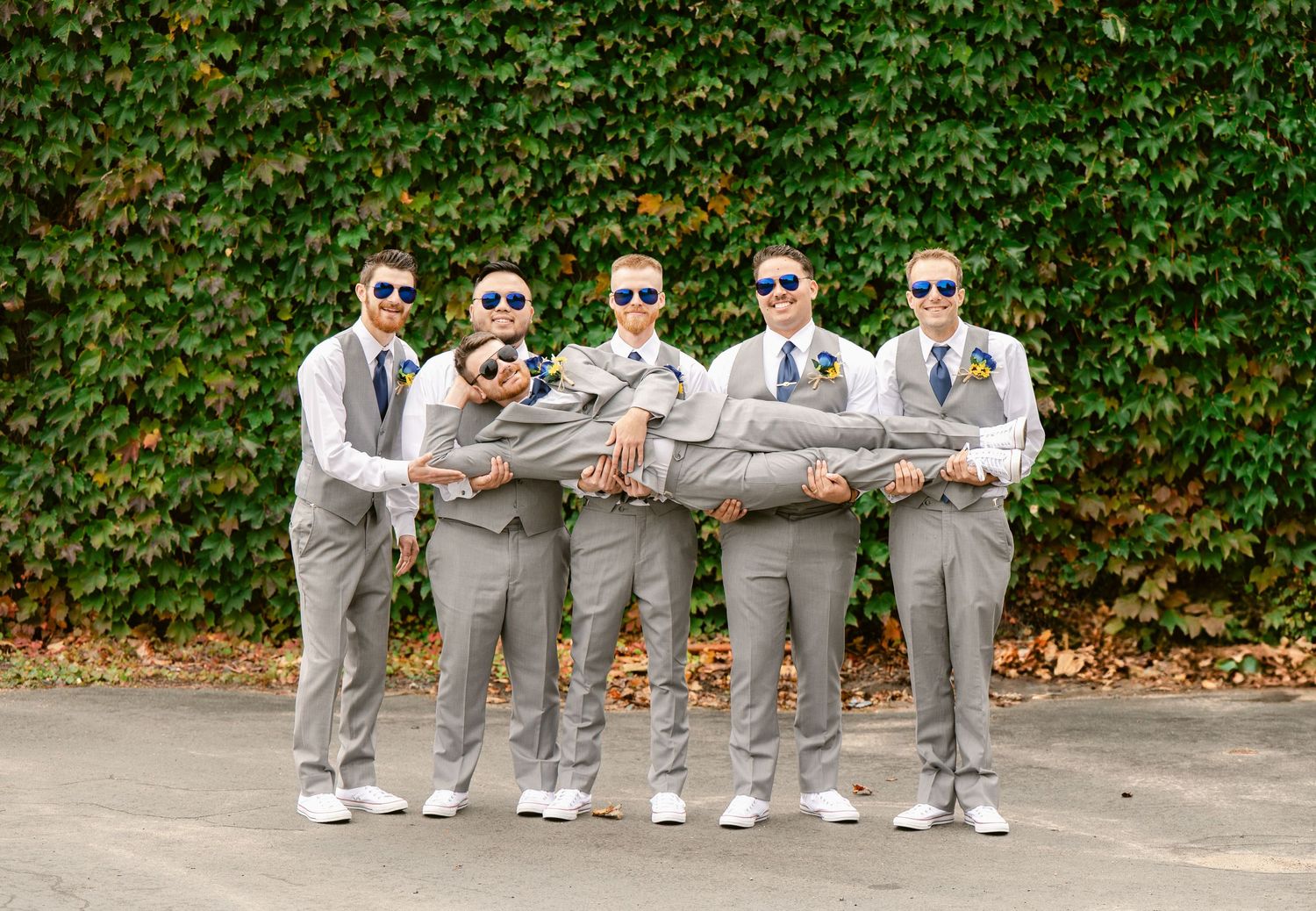 Central MN Wedding Photos | Groomsmen in gray suits lift the groom horizontally while posing in front of a green ivy-covered wall.