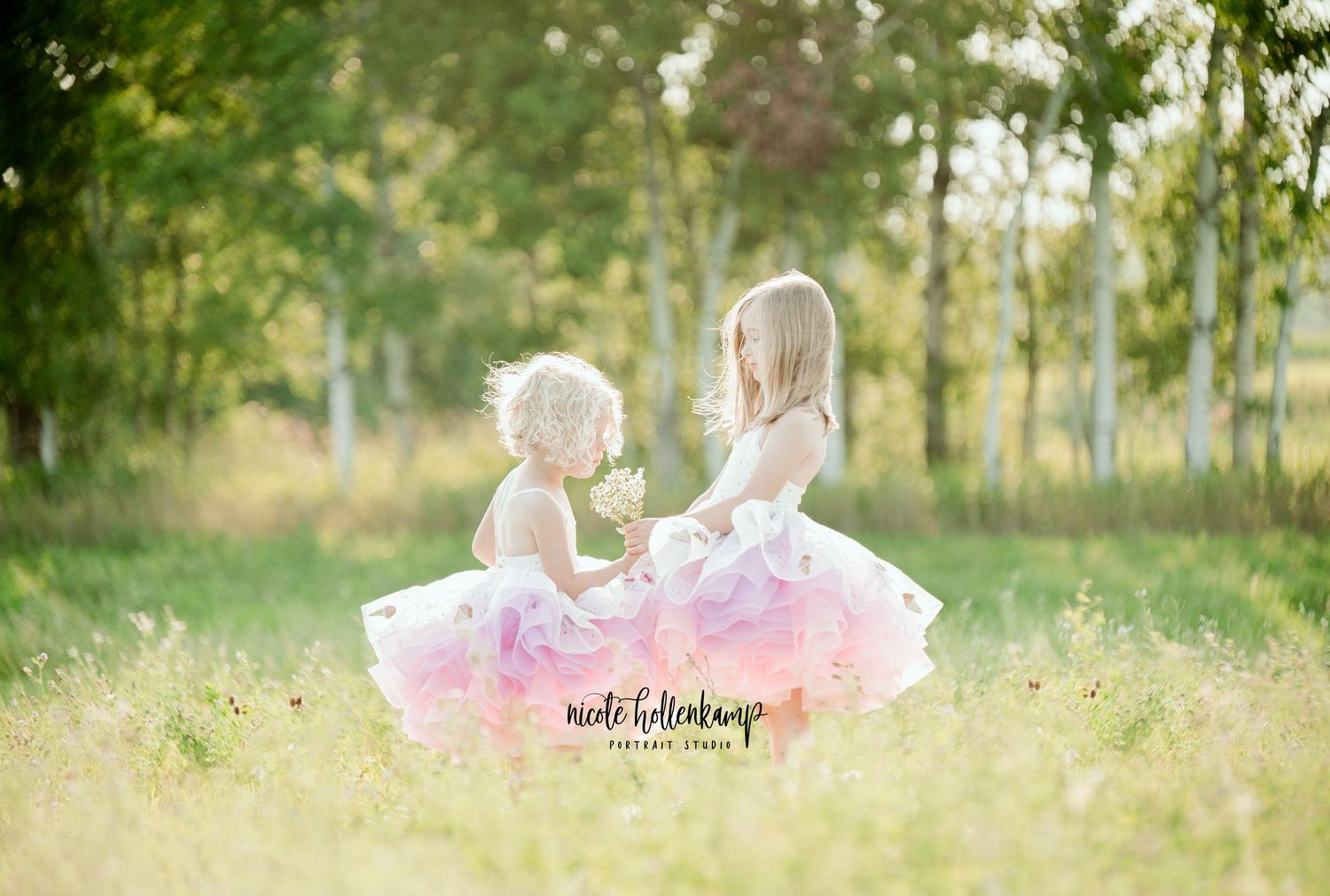 Two children in pink tutus sitting together in sunlit meadow.