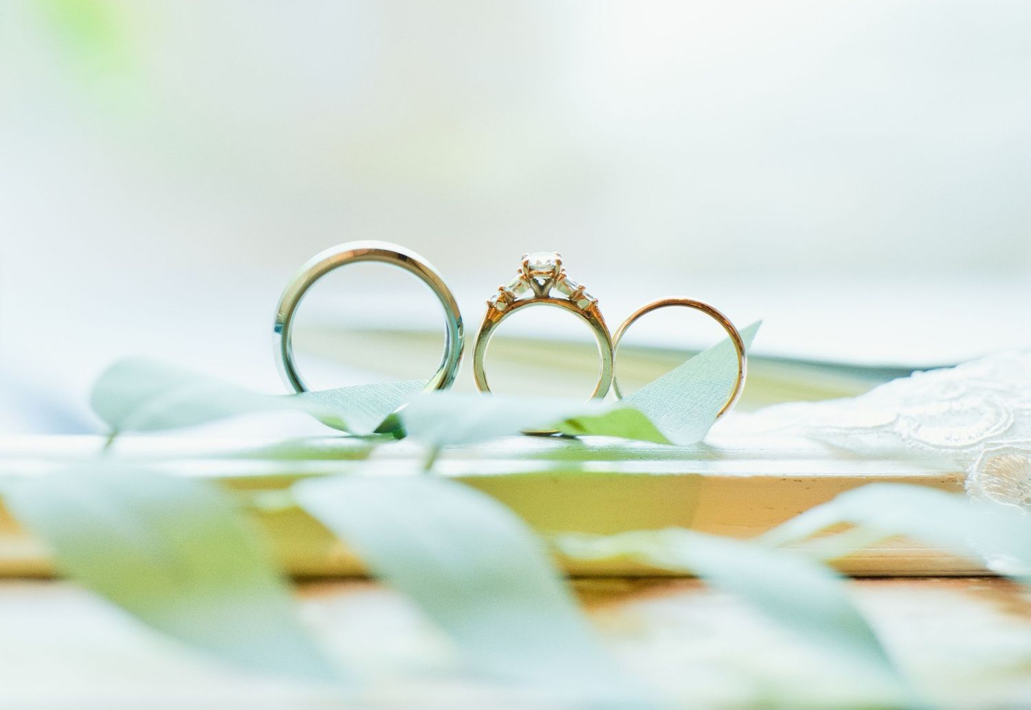 Three gold wedding and engagement rings with a diamond displayed upright on a soft green botanical background.