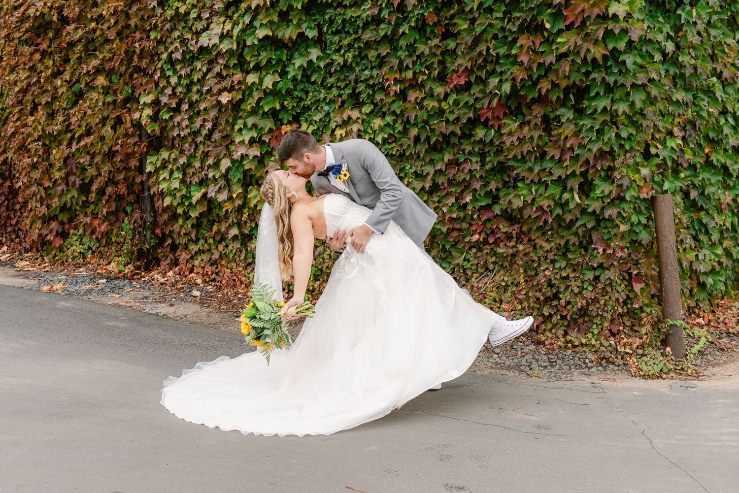 Central MN Wedding Photos | Bride and groom sharing romantic dip kiss in front of lush ivy-covered wall.