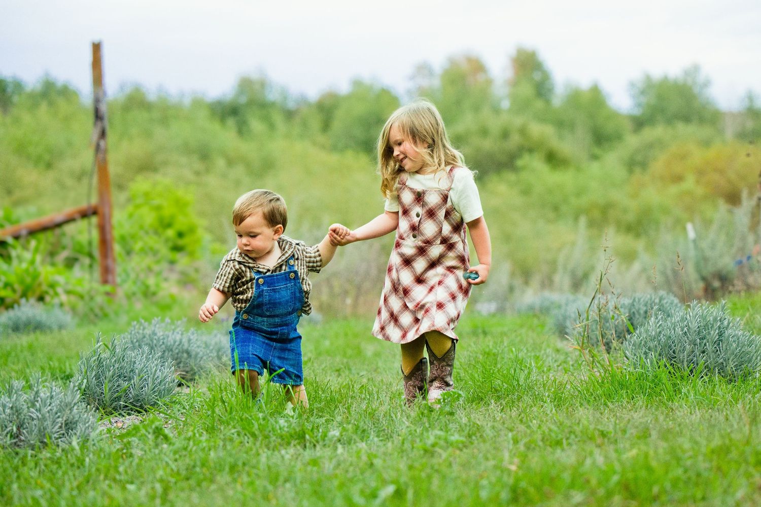 Two young children holding hands and walking together through a lush green meadow on a cloudy day.