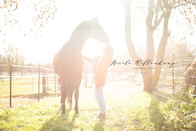 Central MN Senior Photos - A person stands with a brown horse in a sun-drenched outdoor paddock, captured by Nicole Hollenkamp Photography.
