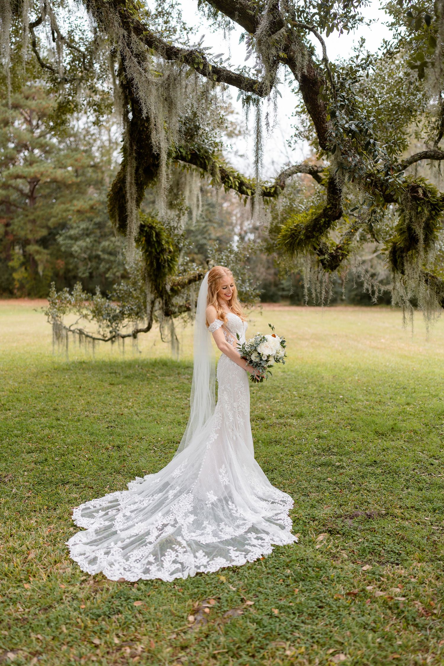 Bride in lace wedding gown with long train poses under Spanish moss in Southern garden setting.