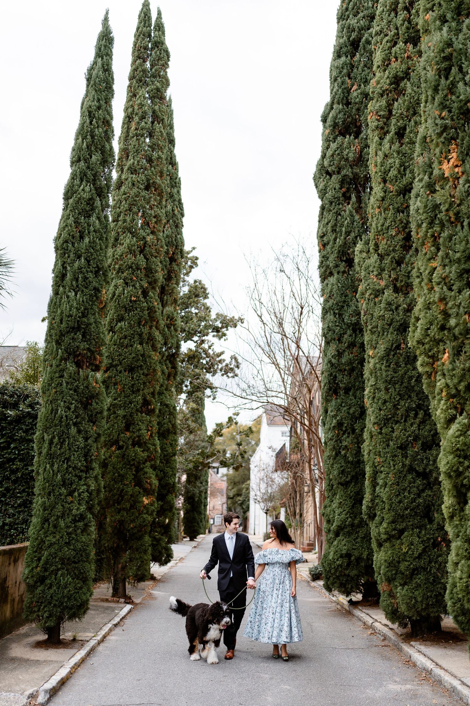 Couple walking their dog down a pathway lined with tall cypress trees.