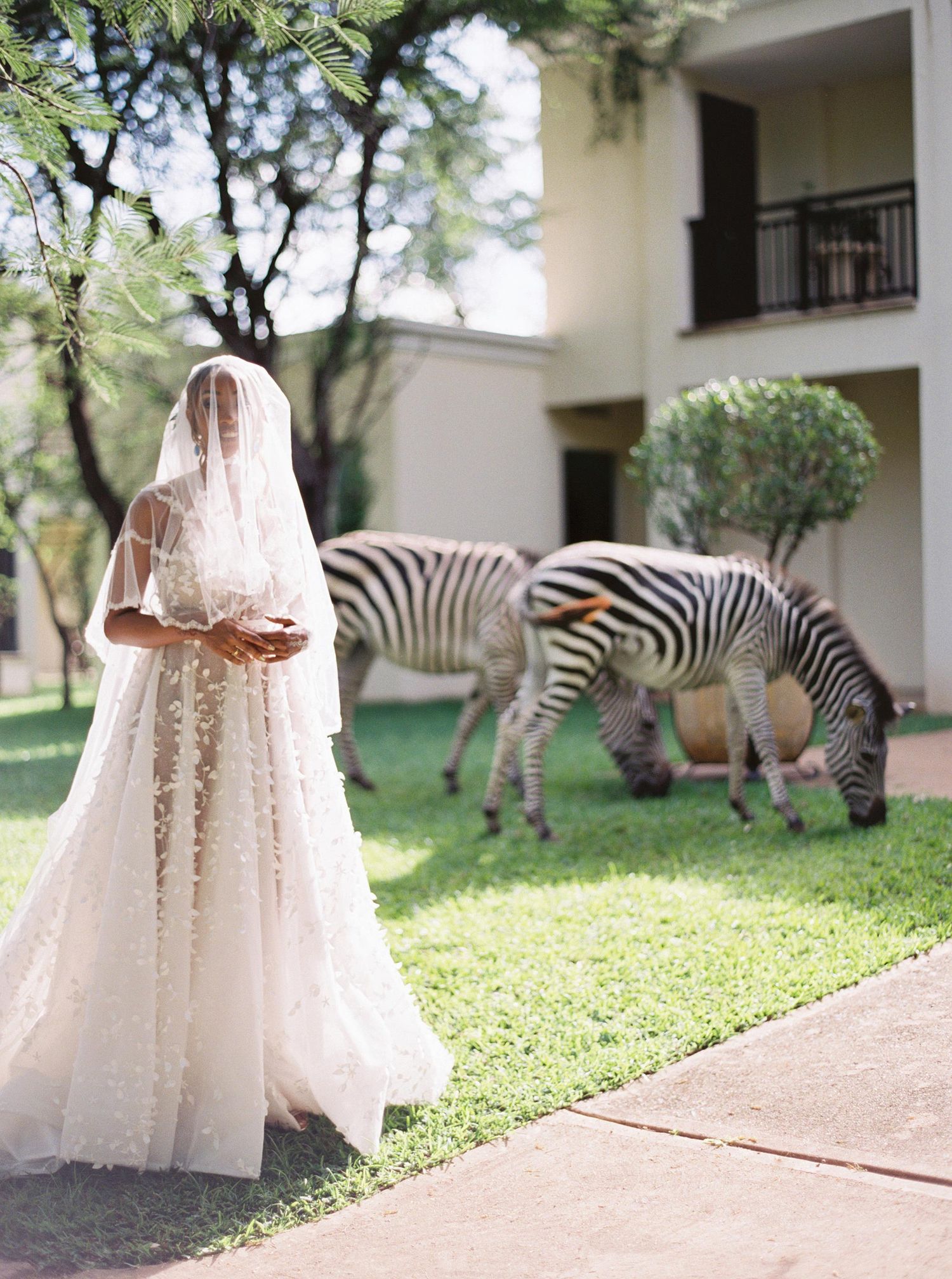 Bride in floral lace gown and veil stands on lawn with zebras grazing behind her near a building.