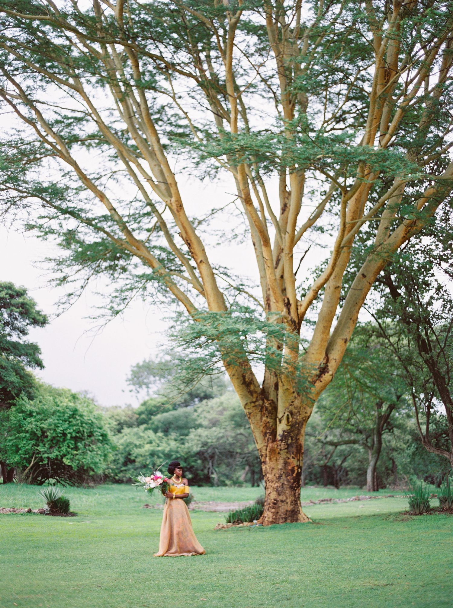 Explore love stories unfolding against the backdrop of Africa's diverse landscapes. Our wedding gallery captures the mag