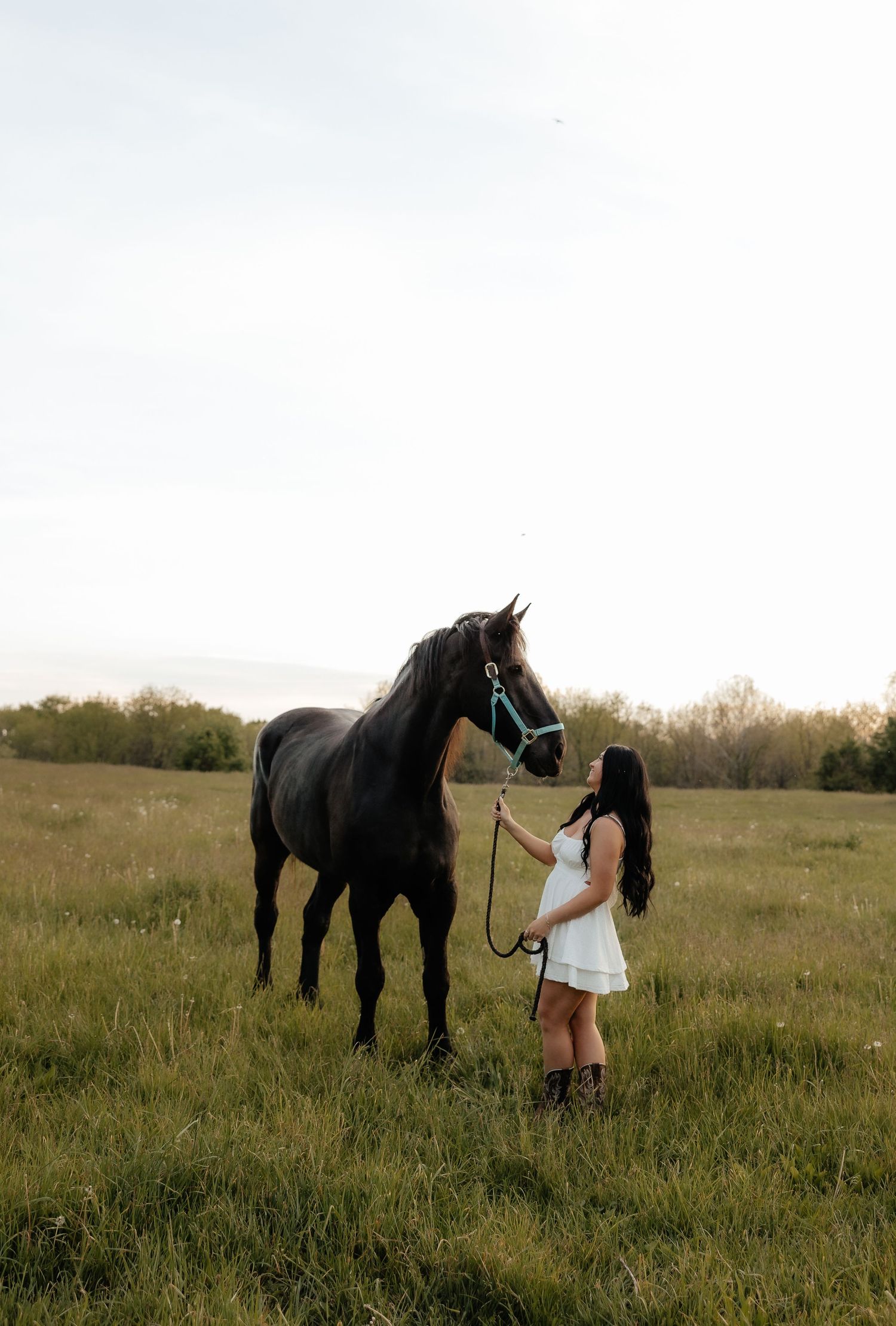 A young woman in a white dress and cowboy boots stands with a black horse in a lush green field at golden hour.